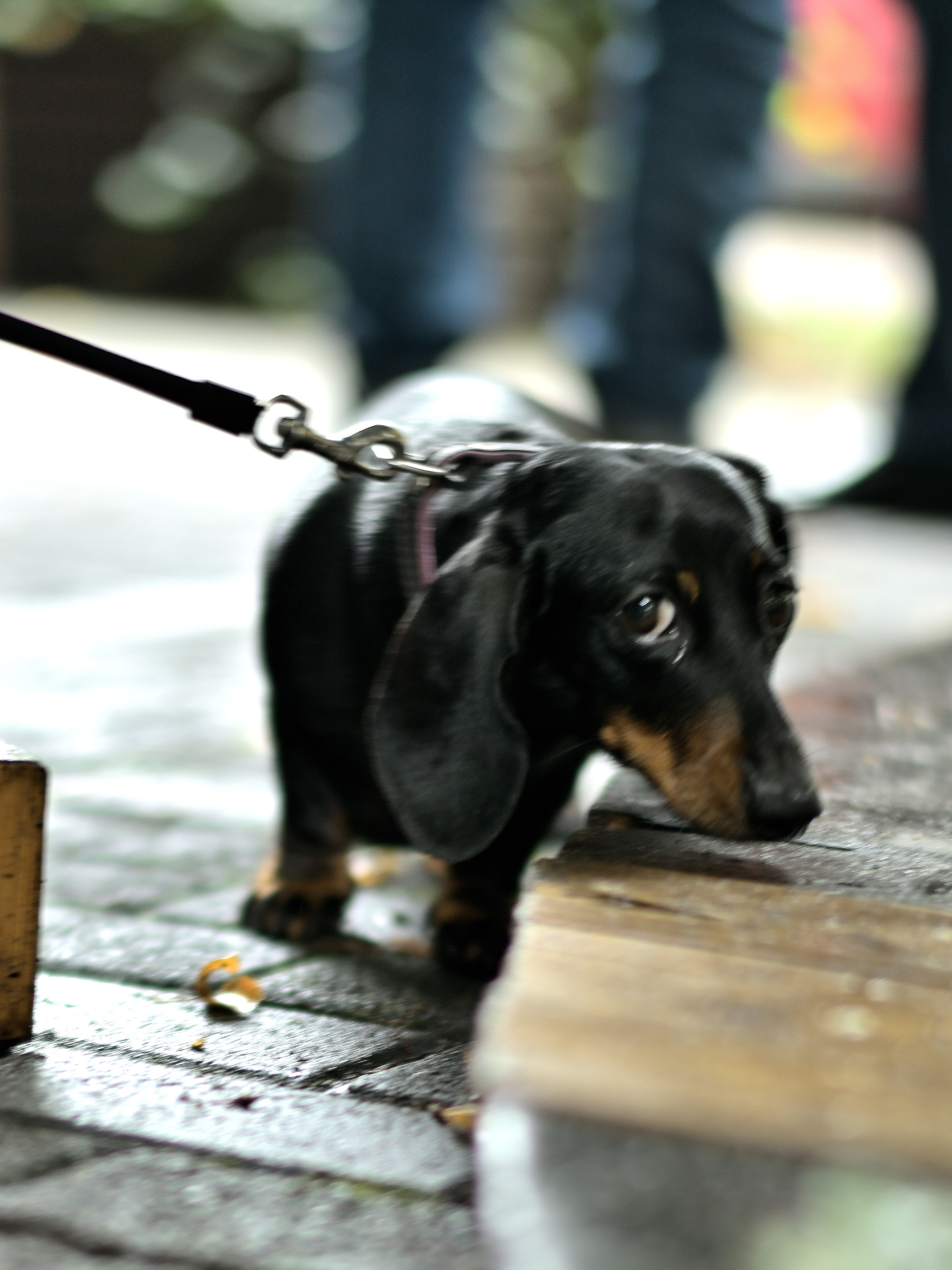 Сергей Люльченко фотоальбом