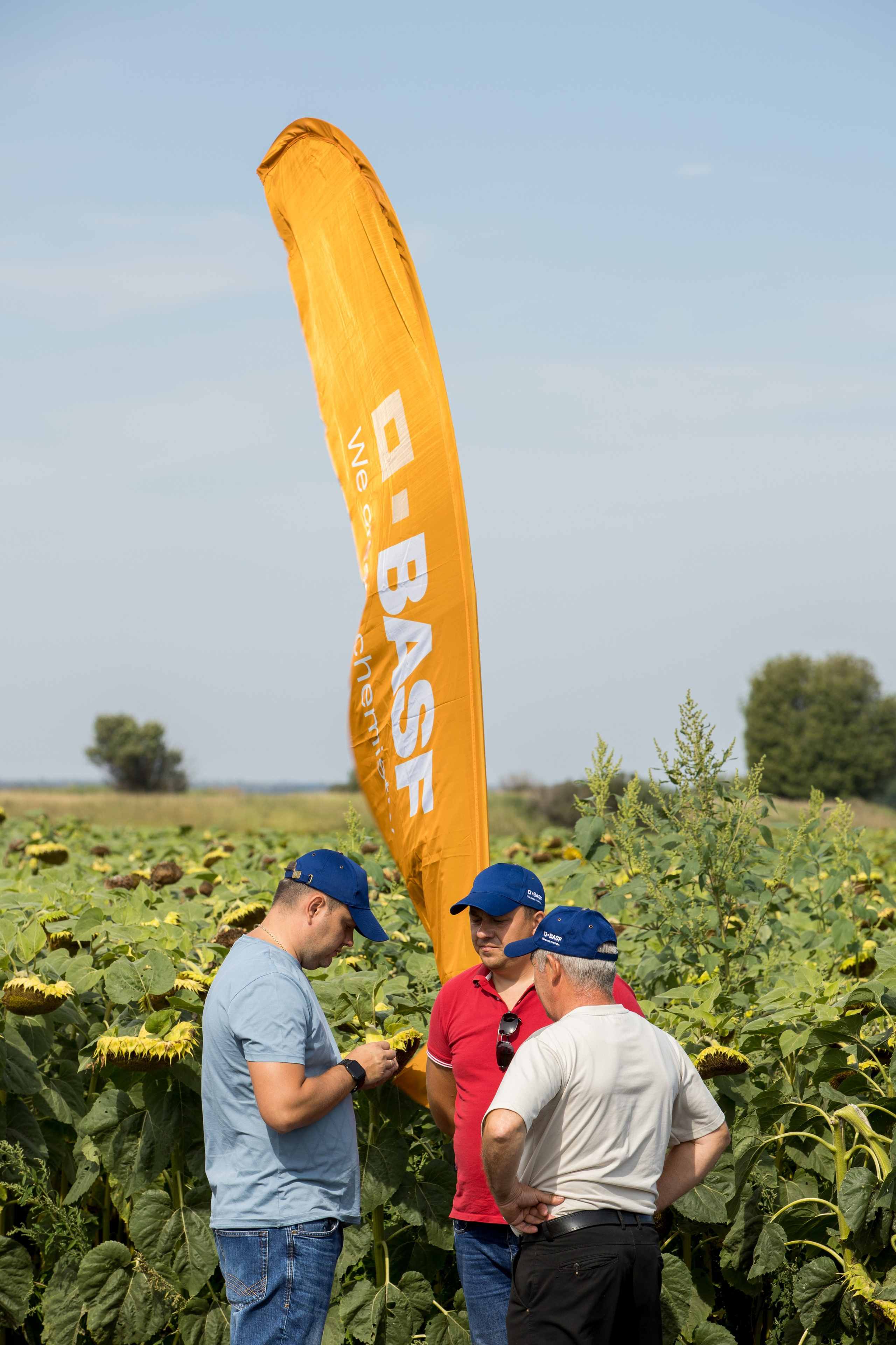 Решения для сельского хозяйства BASF 16.08.2022. Владислав Волков | Фотография и видеосъемка в Воронеже