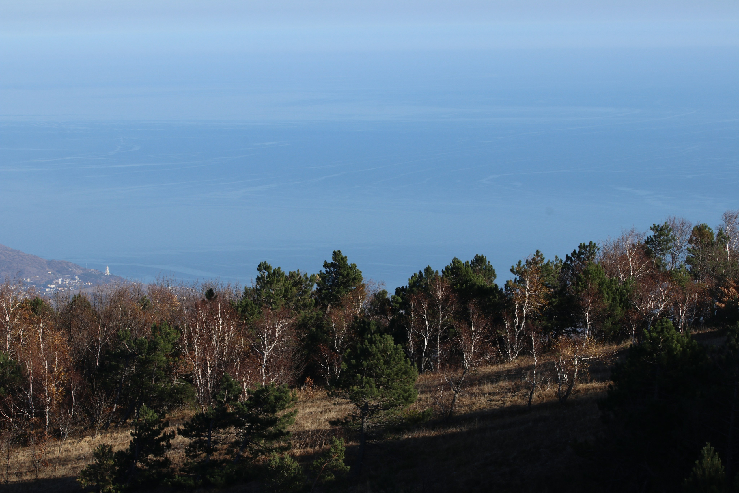 Крым. ЮБК (Гурзуф, Судак и их окрестности). Ноябрь 2023. Путешественник-фотограф из Санкт-Петербурга Татьяна Свистулина