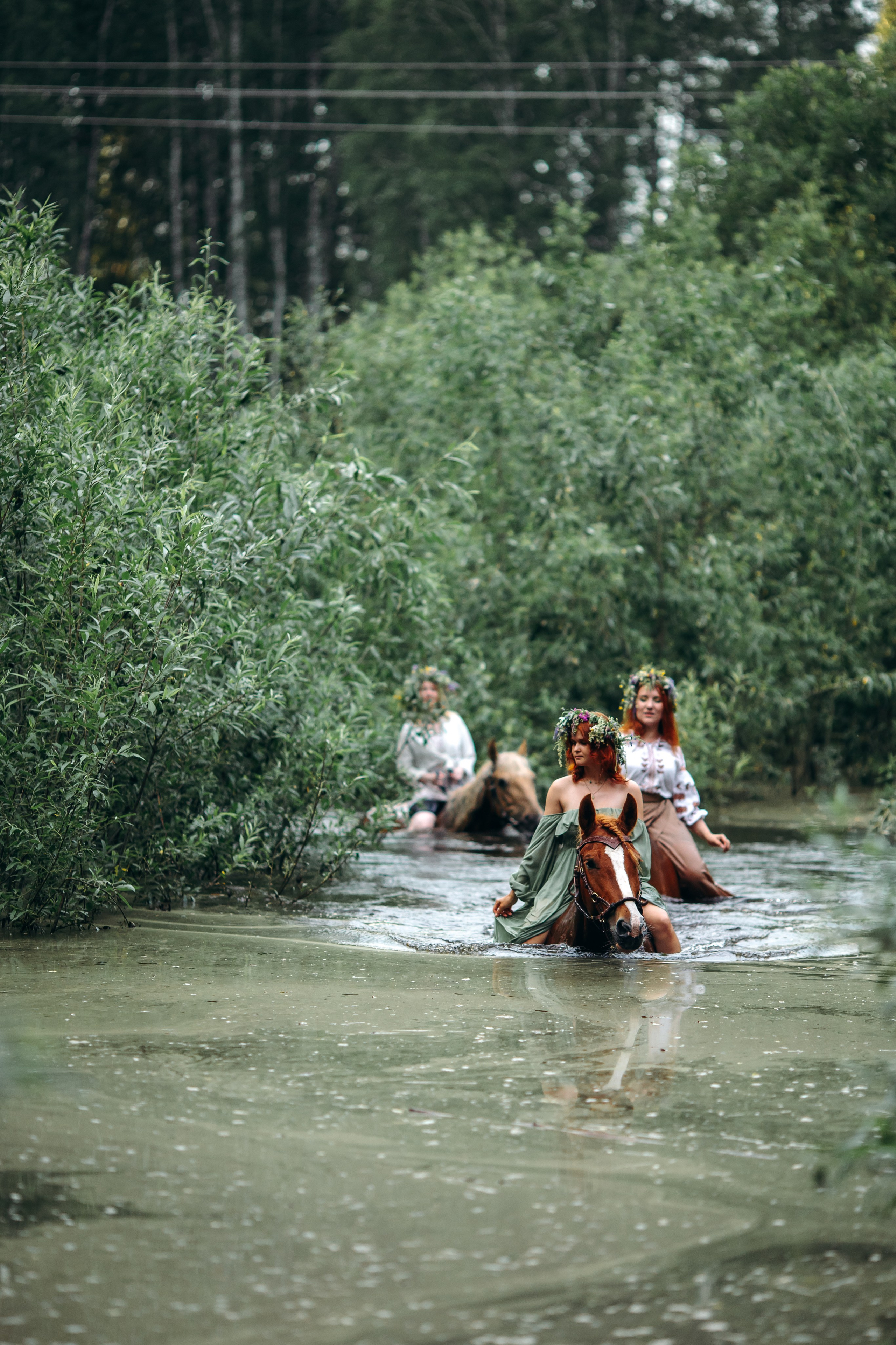 Ивана Купала 2026. Анна Молчанова конный фотограф в Тюмени | фотосессии с лошадьми Тюмень