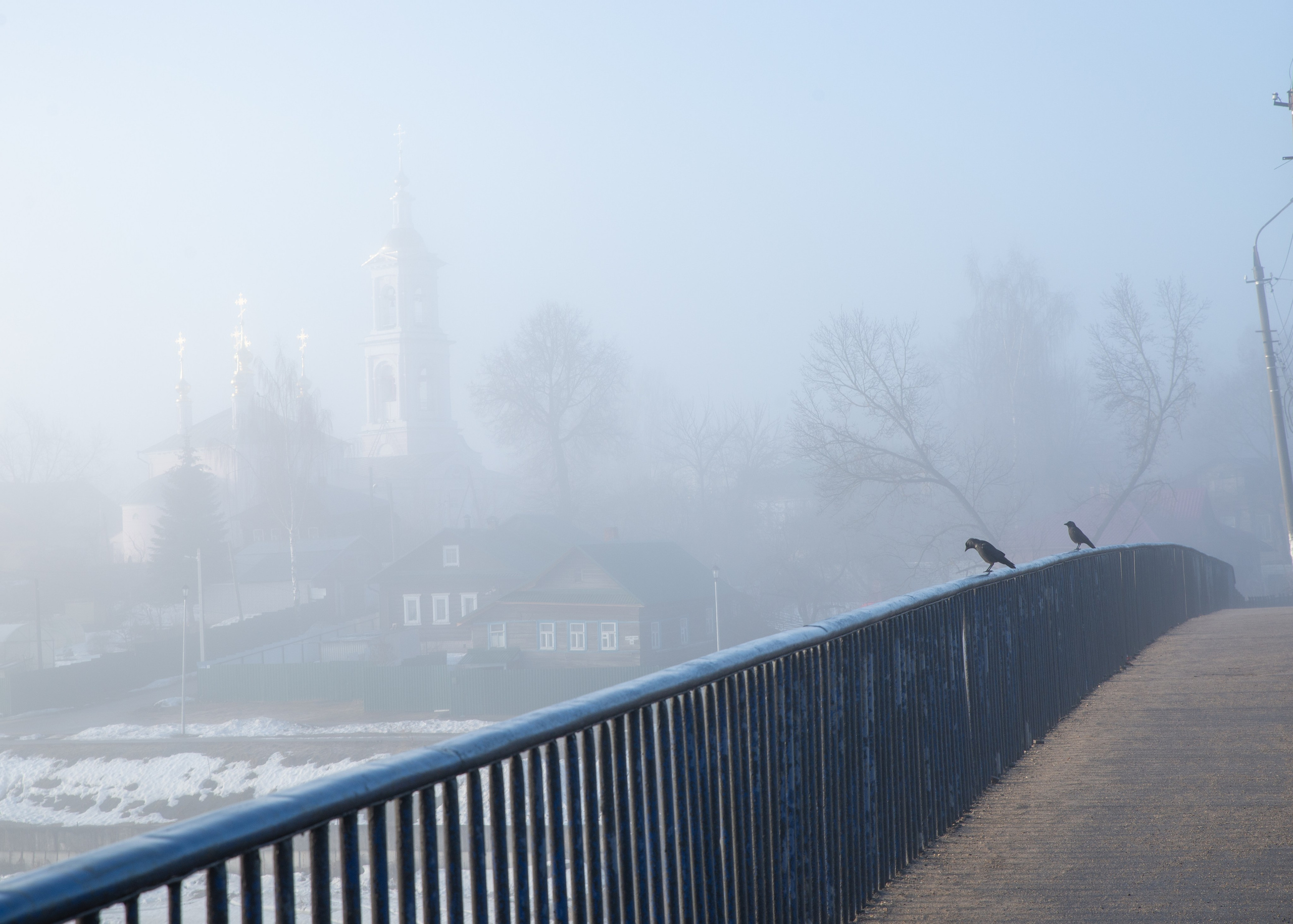 Пленэр в Кимрах. Фотограф Юлия Зимина
