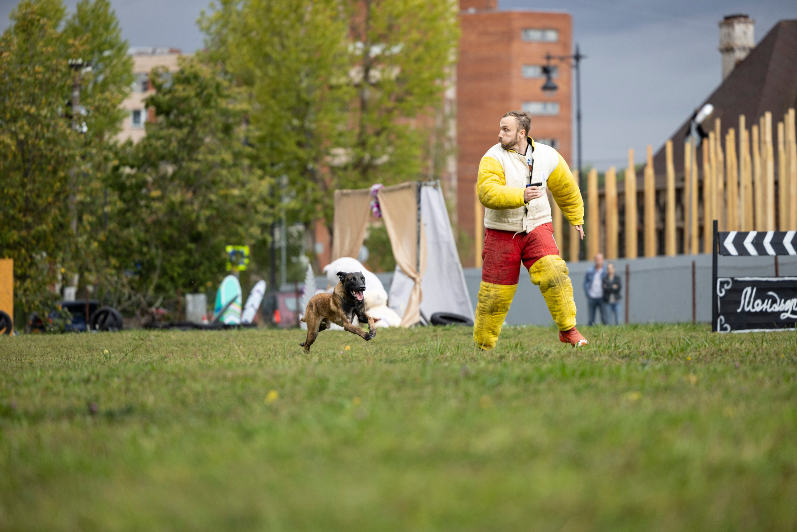 Испытания по Мондьорингу г. Пушкин. Фотограф-анималист Анна Маринич
