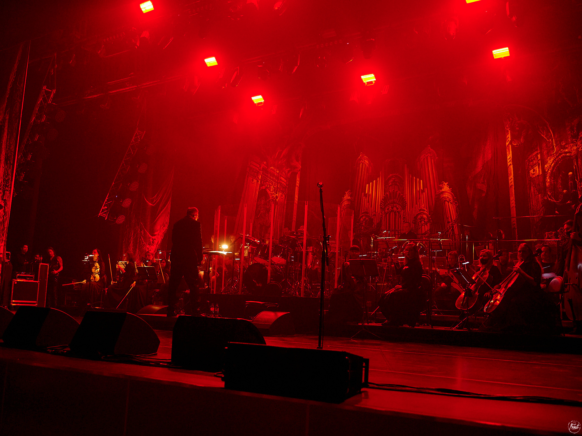 КИПЕЛОВ. Фотографии отовсюду и обо всем