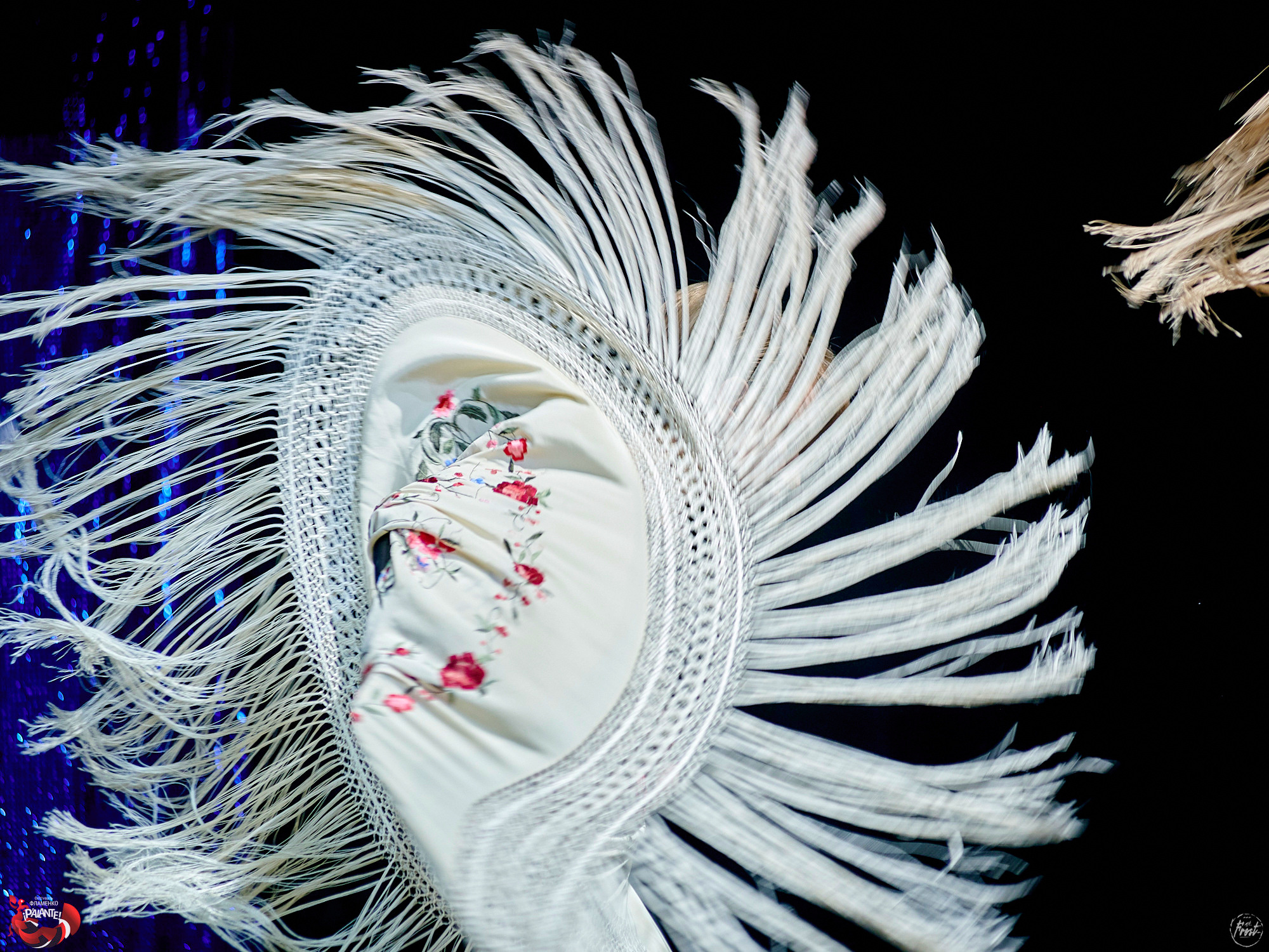 Фестиваль фламенко PALANTE-2020. Фотографии отовсюду и обо всем