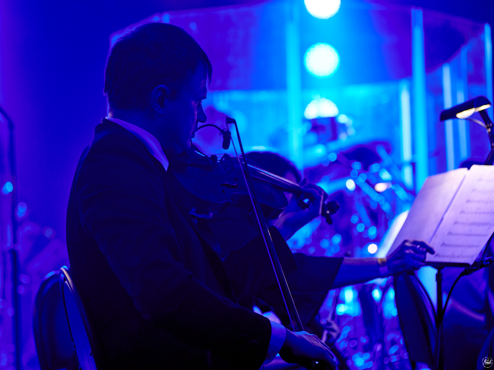 КИПЕЛОВ. Фотографии отовсюду и обо всем