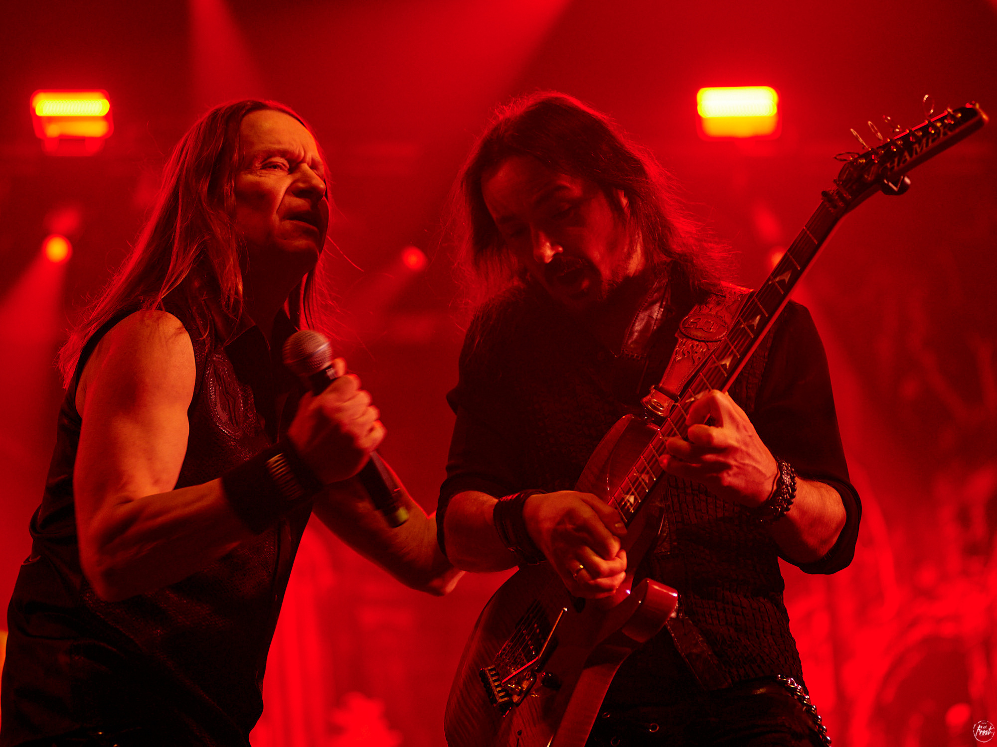 КИПЕЛОВ. Фотографии отовсюду и обо всем