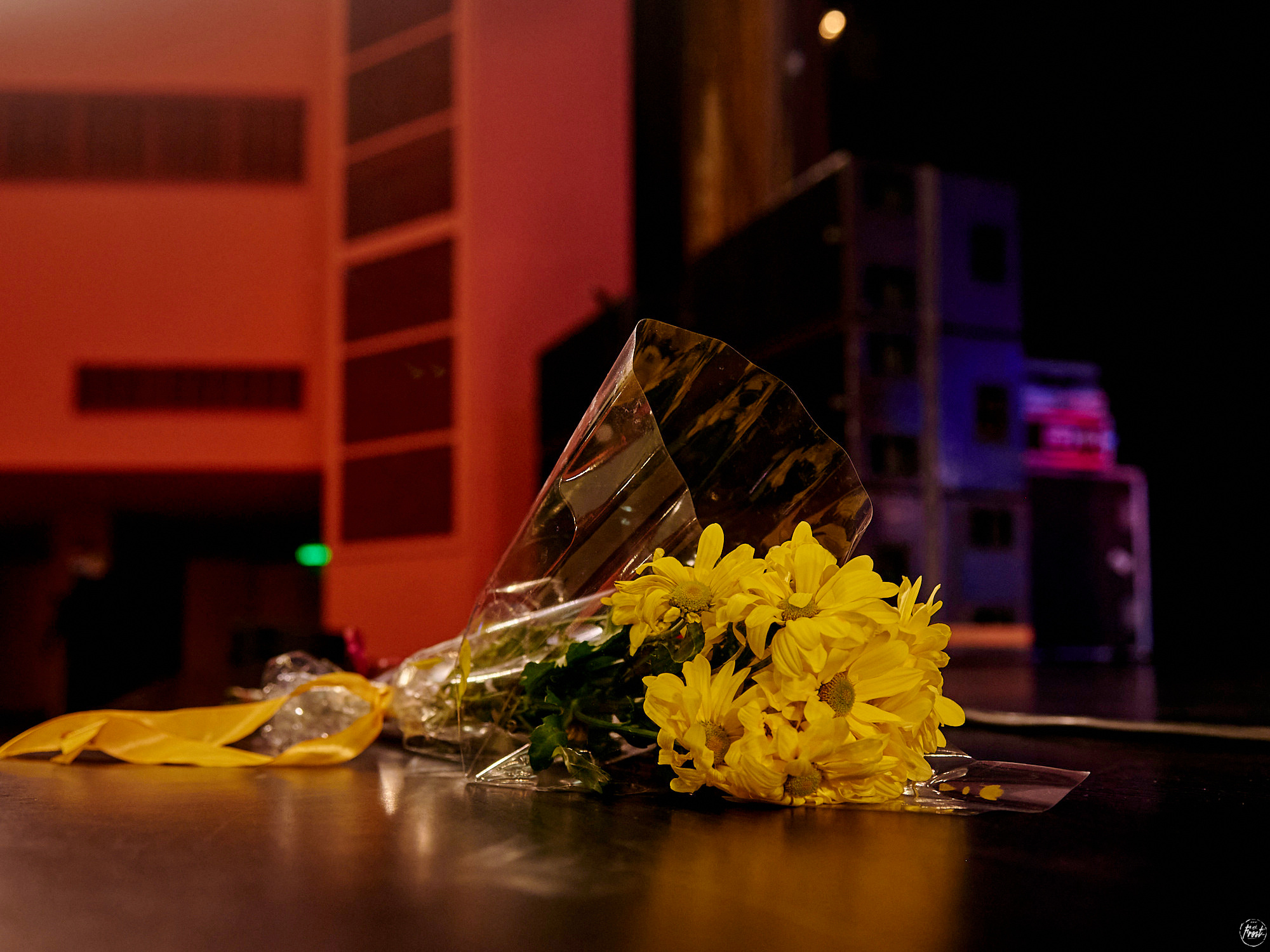 КИПЕЛОВ. Фотографии отовсюду и обо всем