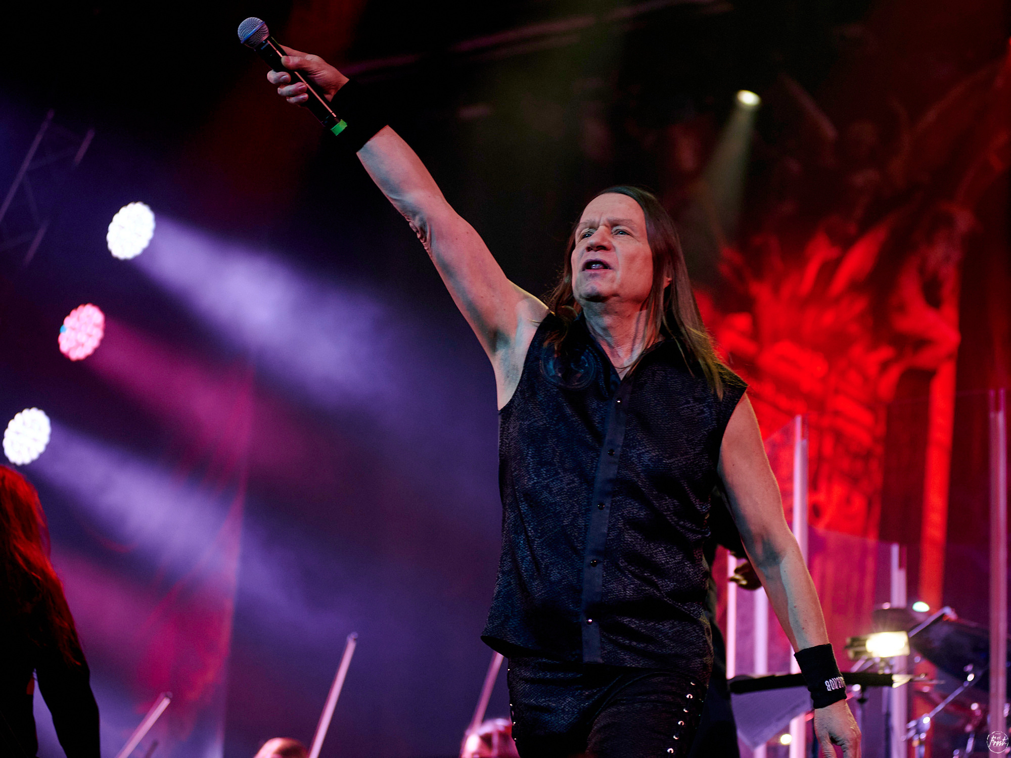 КИПЕЛОВ. Фотографии отовсюду и обо всем