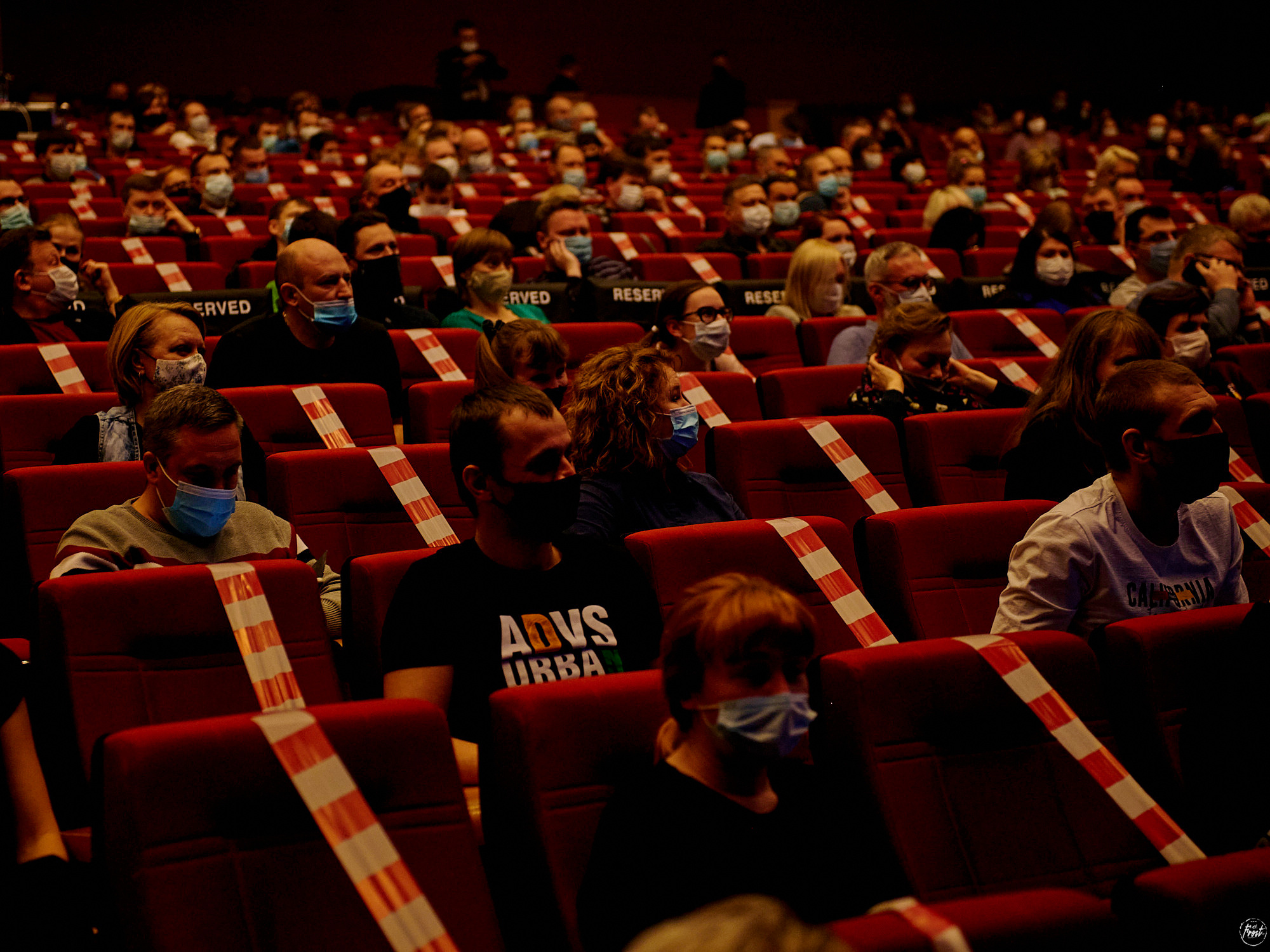 КИПЕЛОВ. Фотографии отовсюду и обо всем