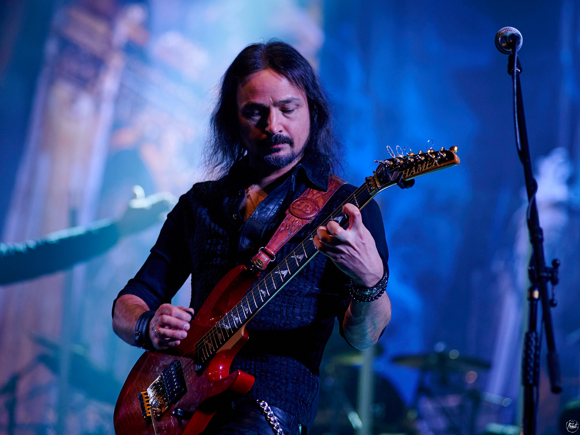 КИПЕЛОВ. Фотографии отовсюду и обо всем