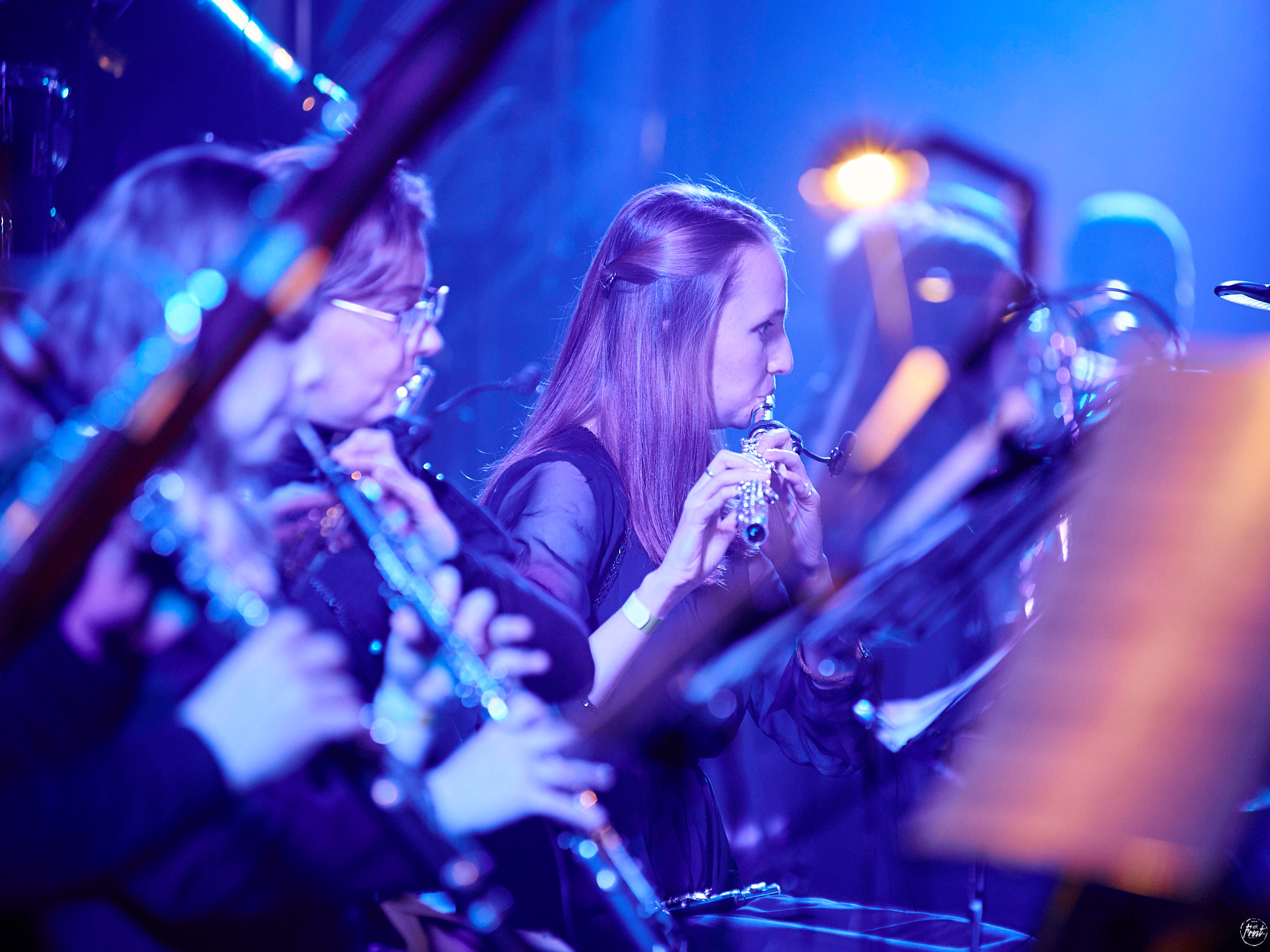 КИПЕЛОВ. Фотографии отовсюду и обо всем