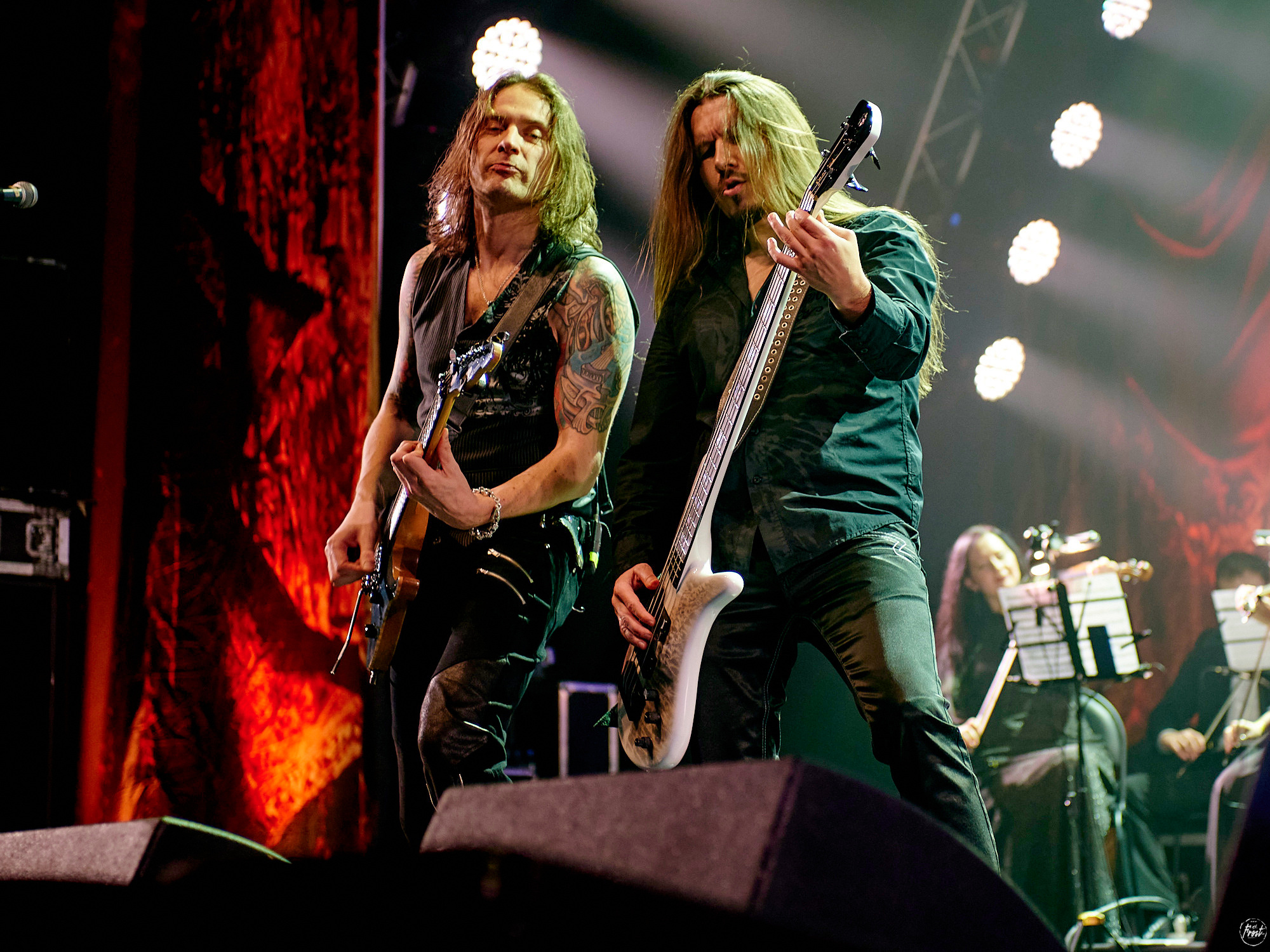 КИПЕЛОВ. Фотографии отовсюду и обо всем