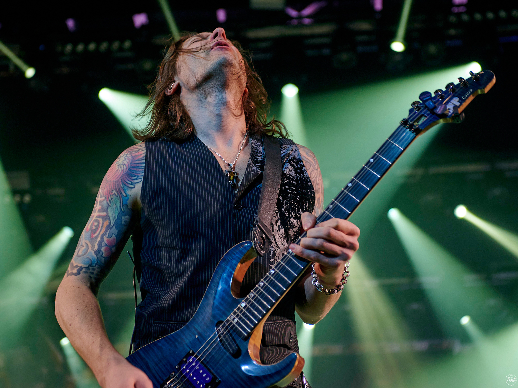 КИПЕЛОВ. Фотографии отовсюду и обо всем