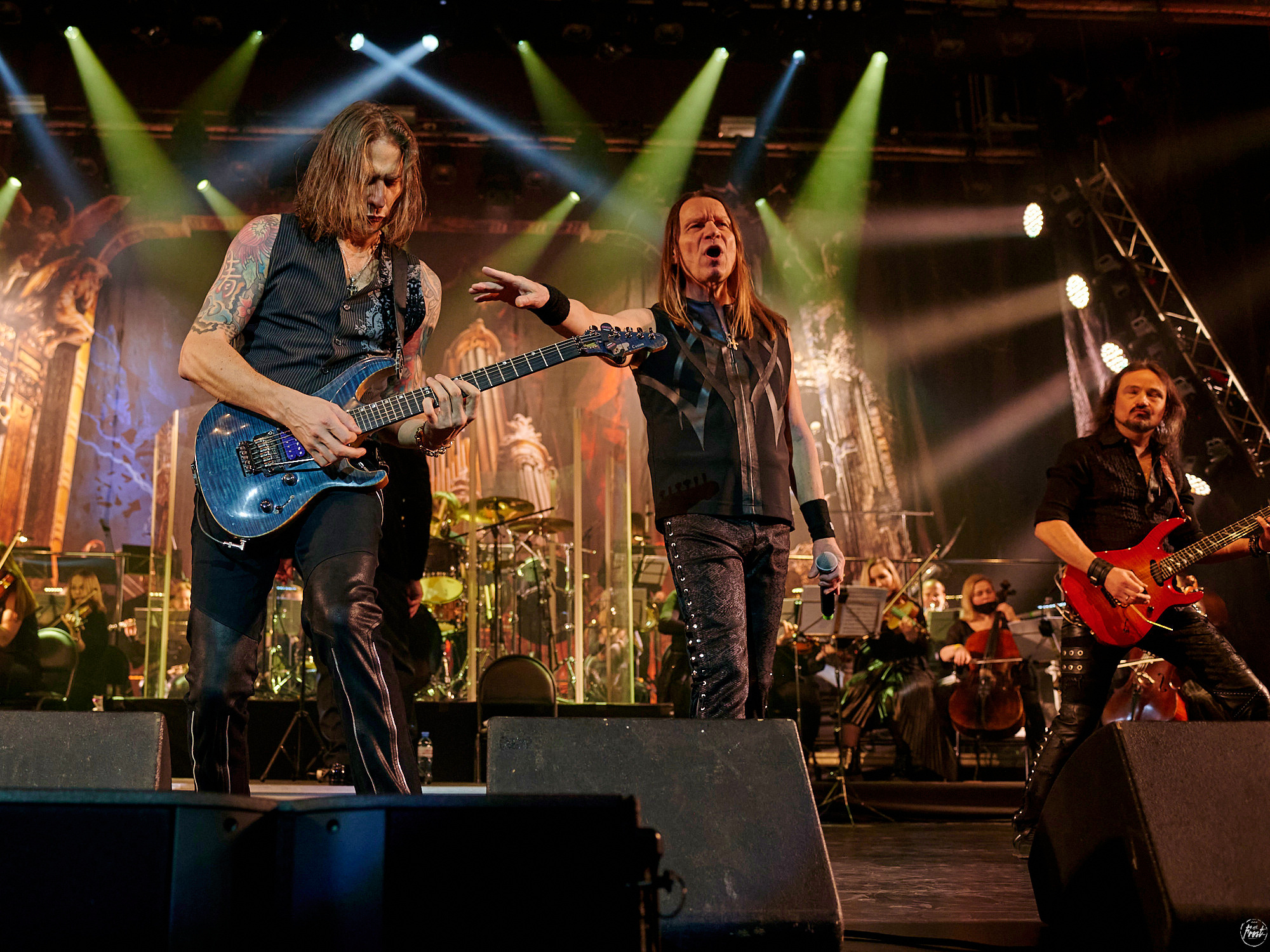 КИПЕЛОВ. Фотографии отовсюду и обо всем