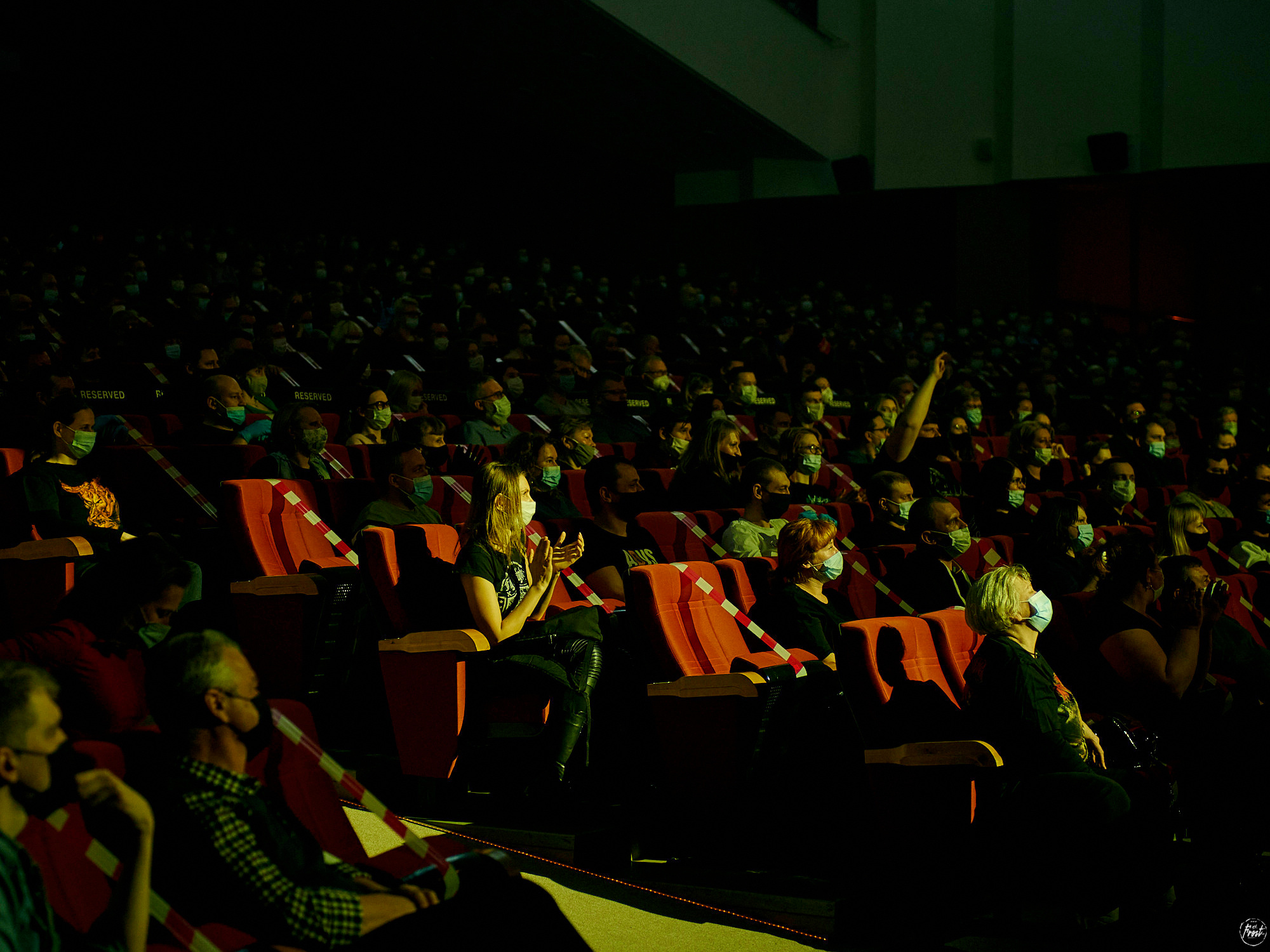 КИПЕЛОВ. Фотографии отовсюду и обо всем