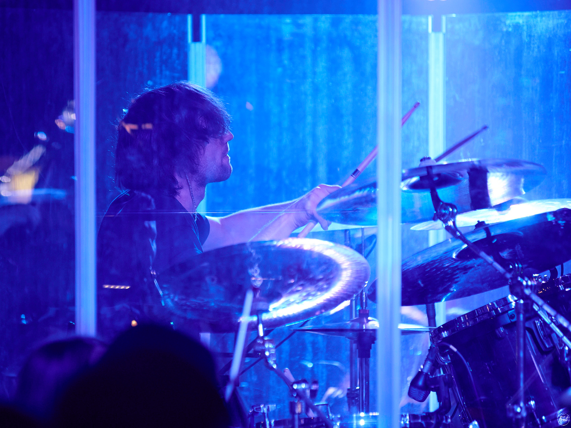 КИПЕЛОВ. Фотографии отовсюду и обо всем