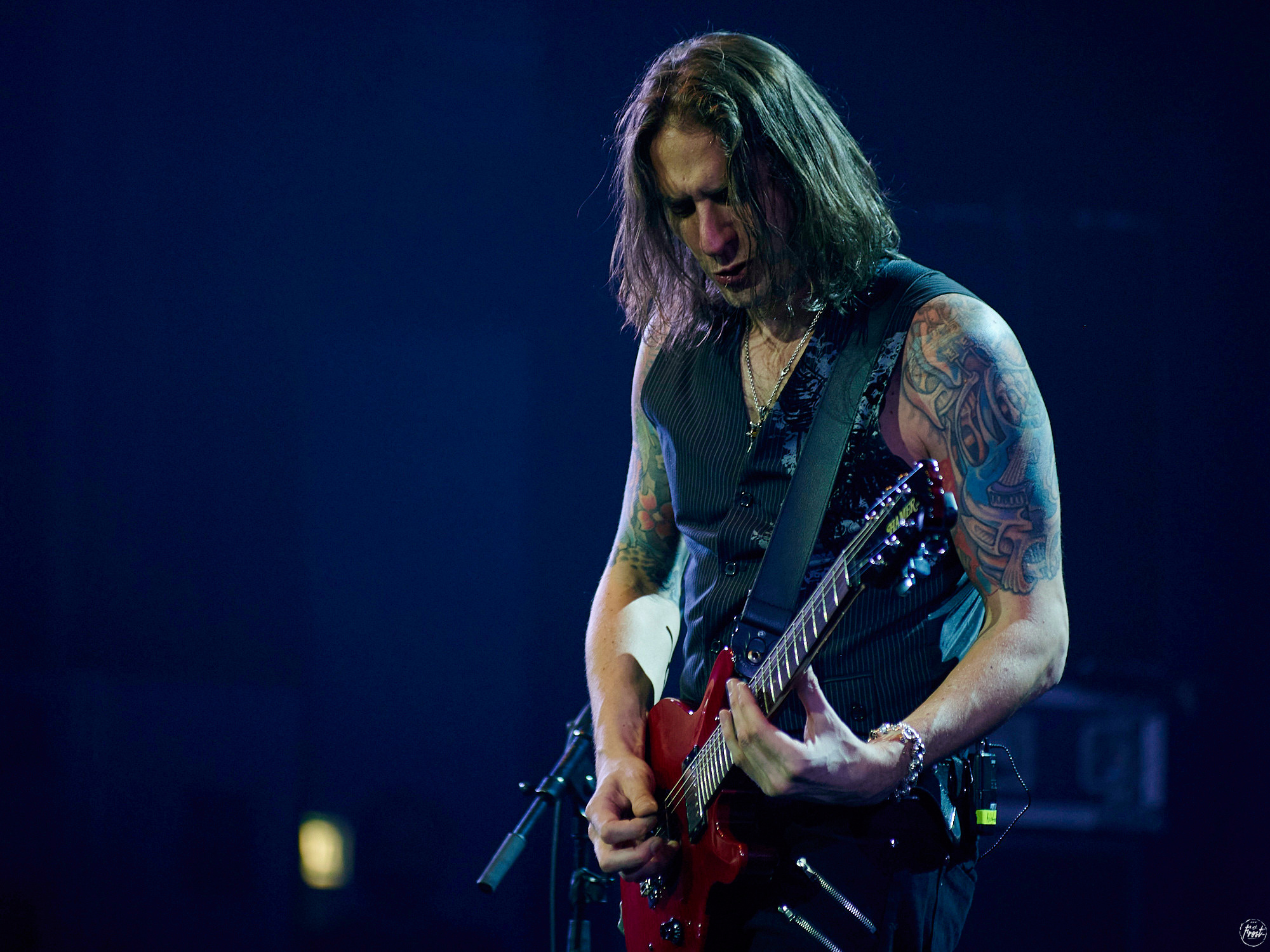 КИПЕЛОВ. Фотографии отовсюду и обо всем