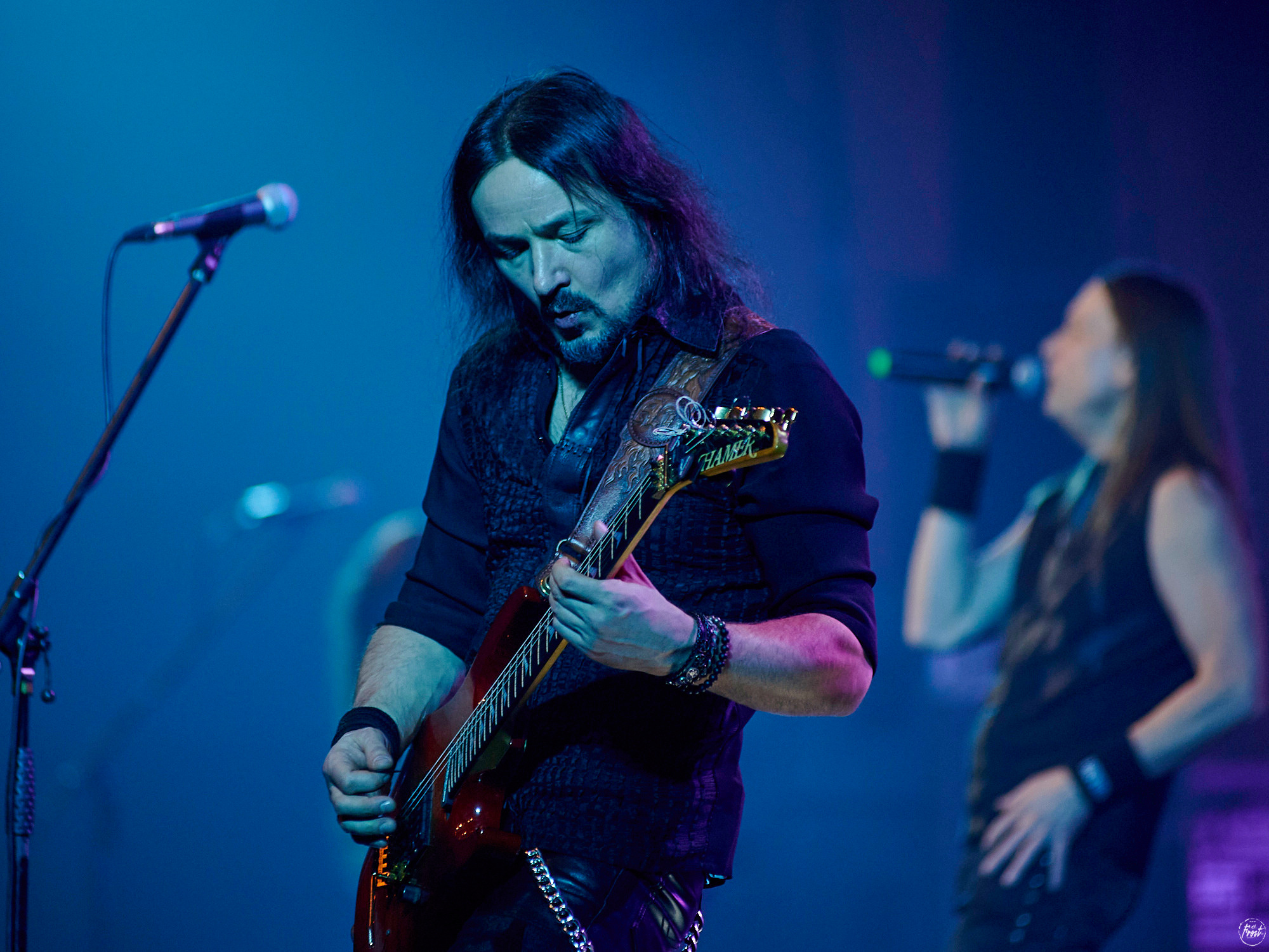 КИПЕЛОВ. Фотографии отовсюду и обо всем