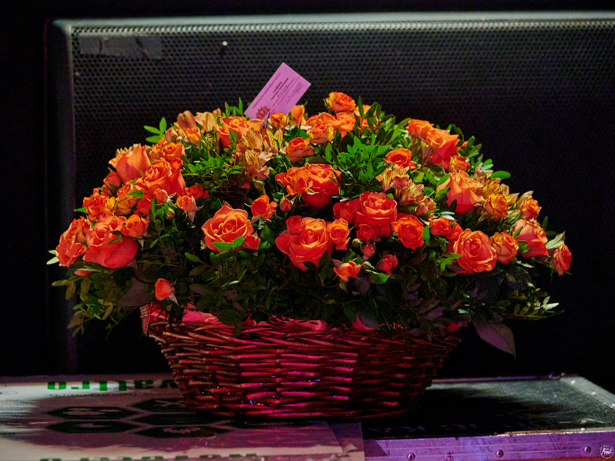 КИПЕЛОВ. Фотографии отовсюду и обо всем