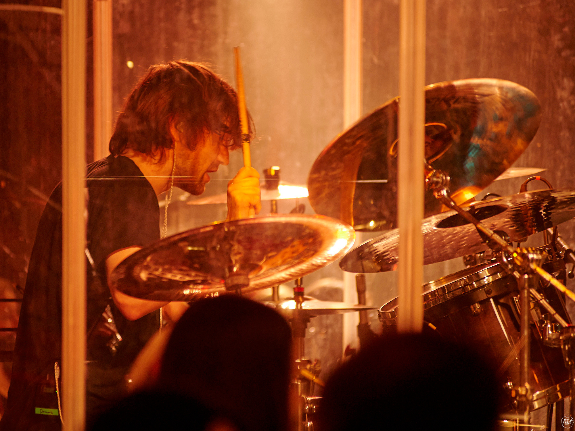 КИПЕЛОВ. Фотографии отовсюду и обо всем