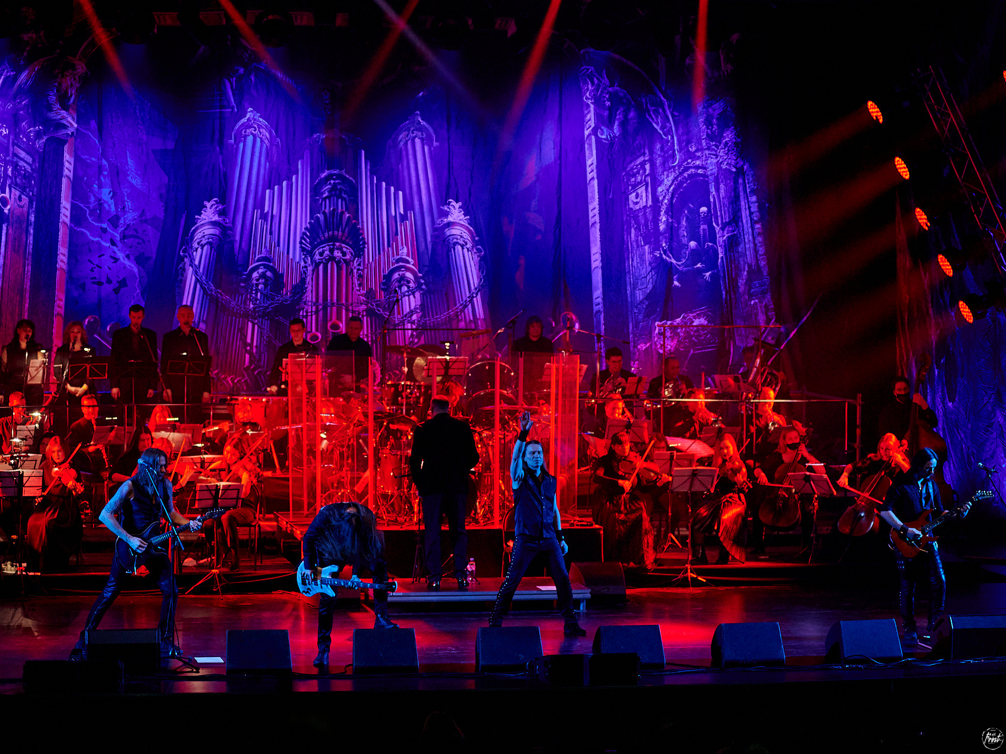 КИПЕЛОВ. Фотографии отовсюду и обо всем