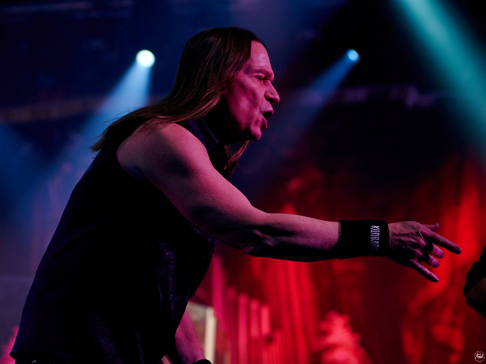 КИПЕЛОВ. Фотографии отовсюду и обо всем