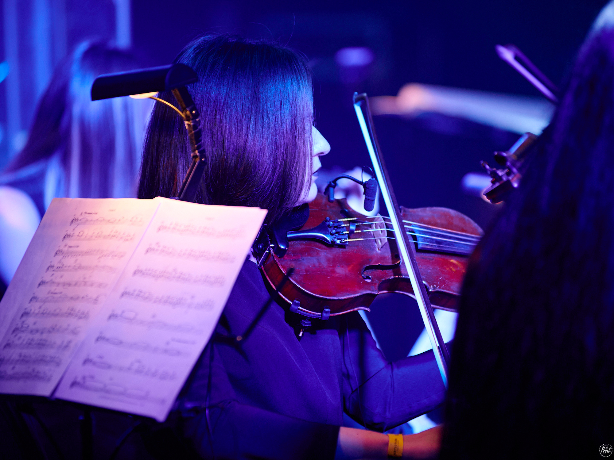 КИПЕЛОВ. Фотографии отовсюду и обо всем