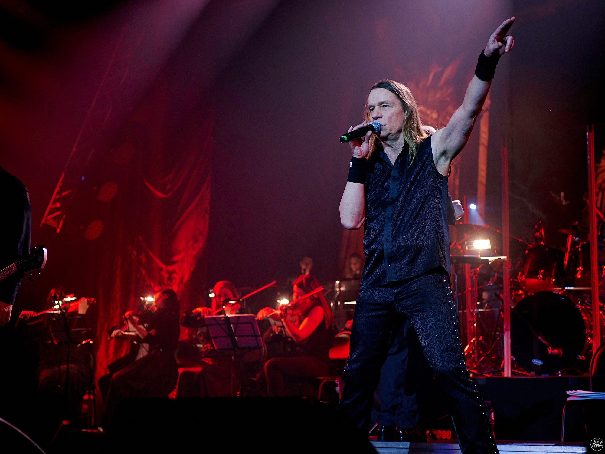 КИПЕЛОВ. Фотографии отовсюду и обо всем