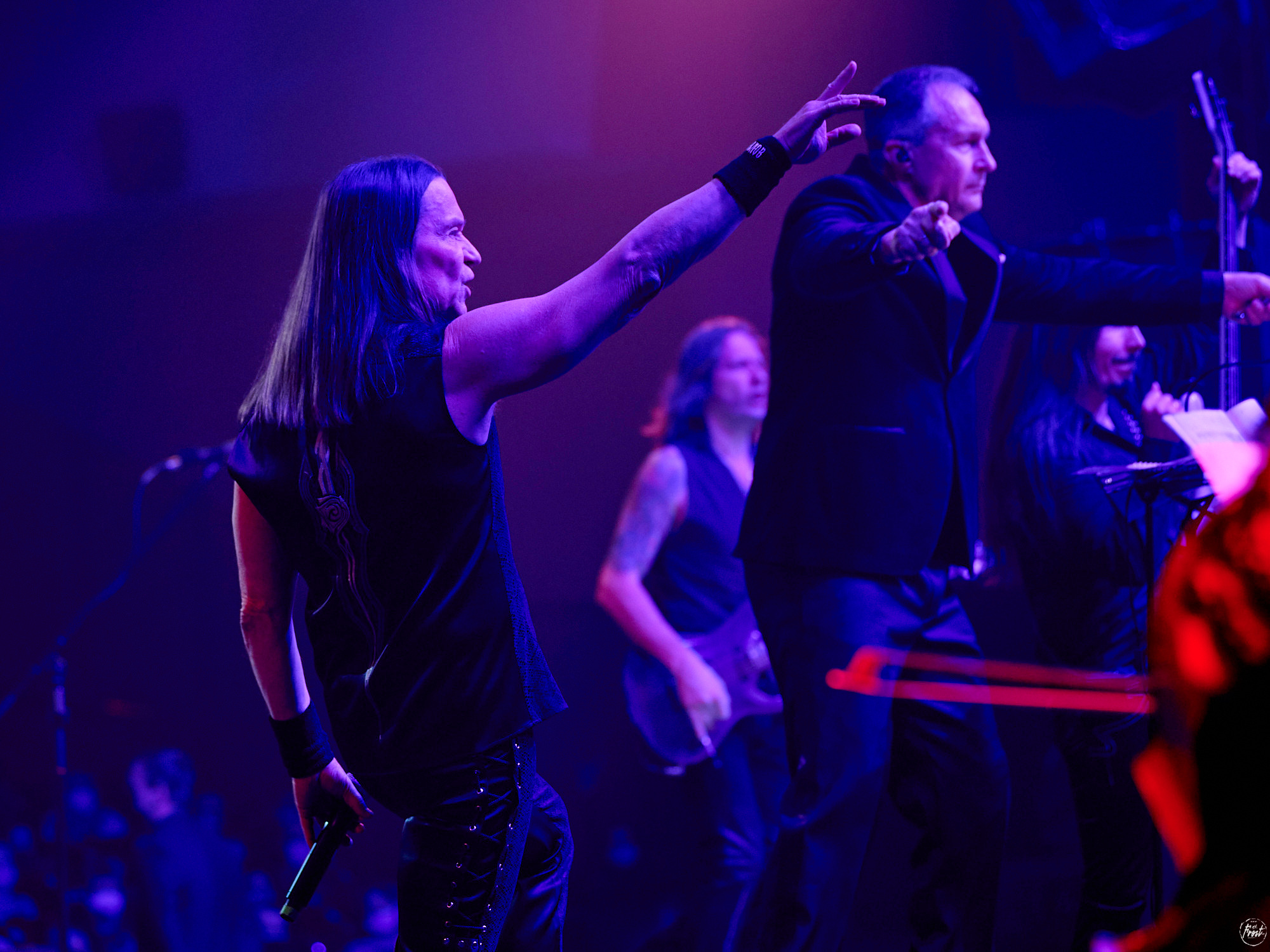 КИПЕЛОВ. Фотографии отовсюду и обо всем