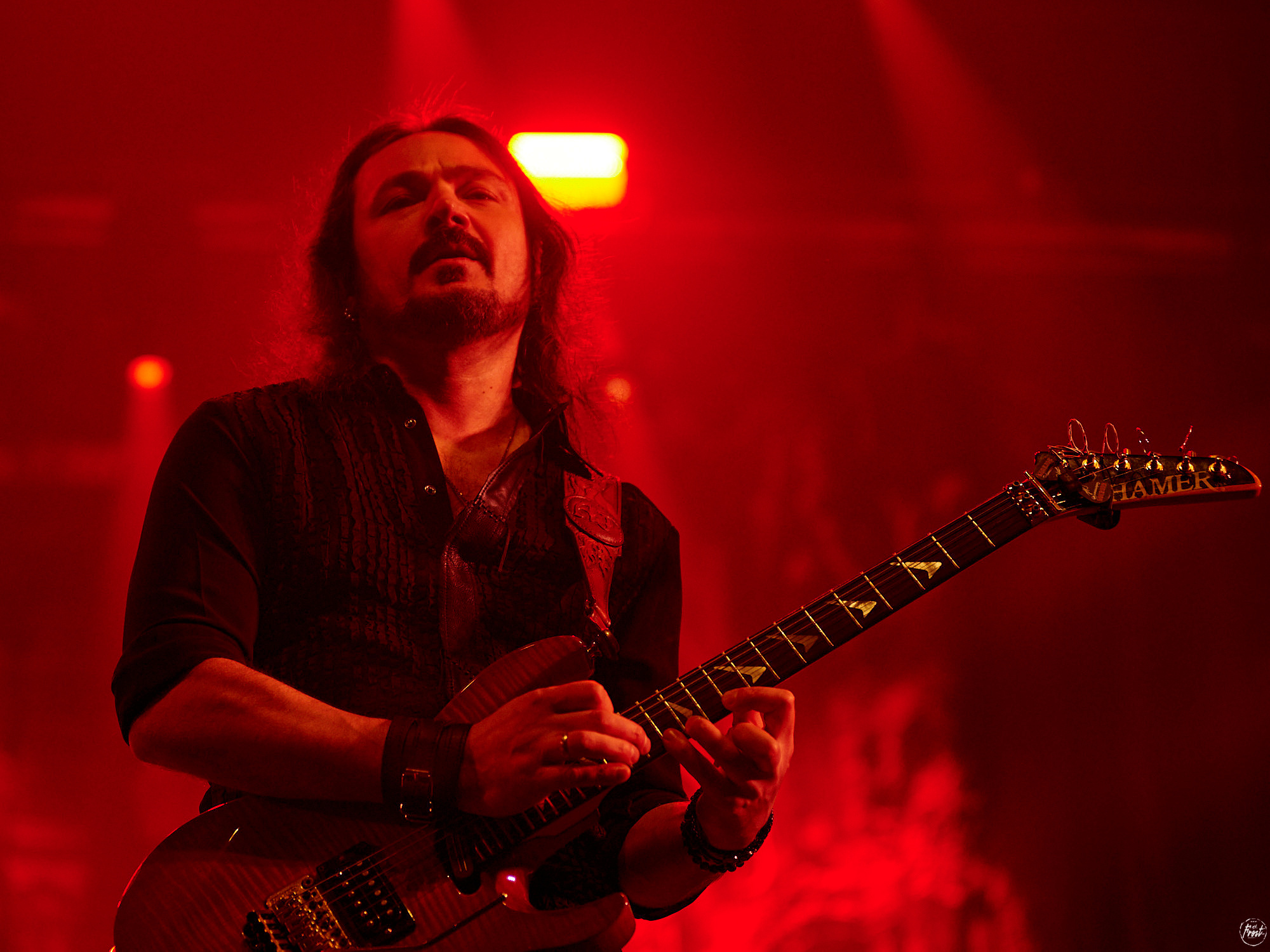 КИПЕЛОВ. Фотографии отовсюду и обо всем