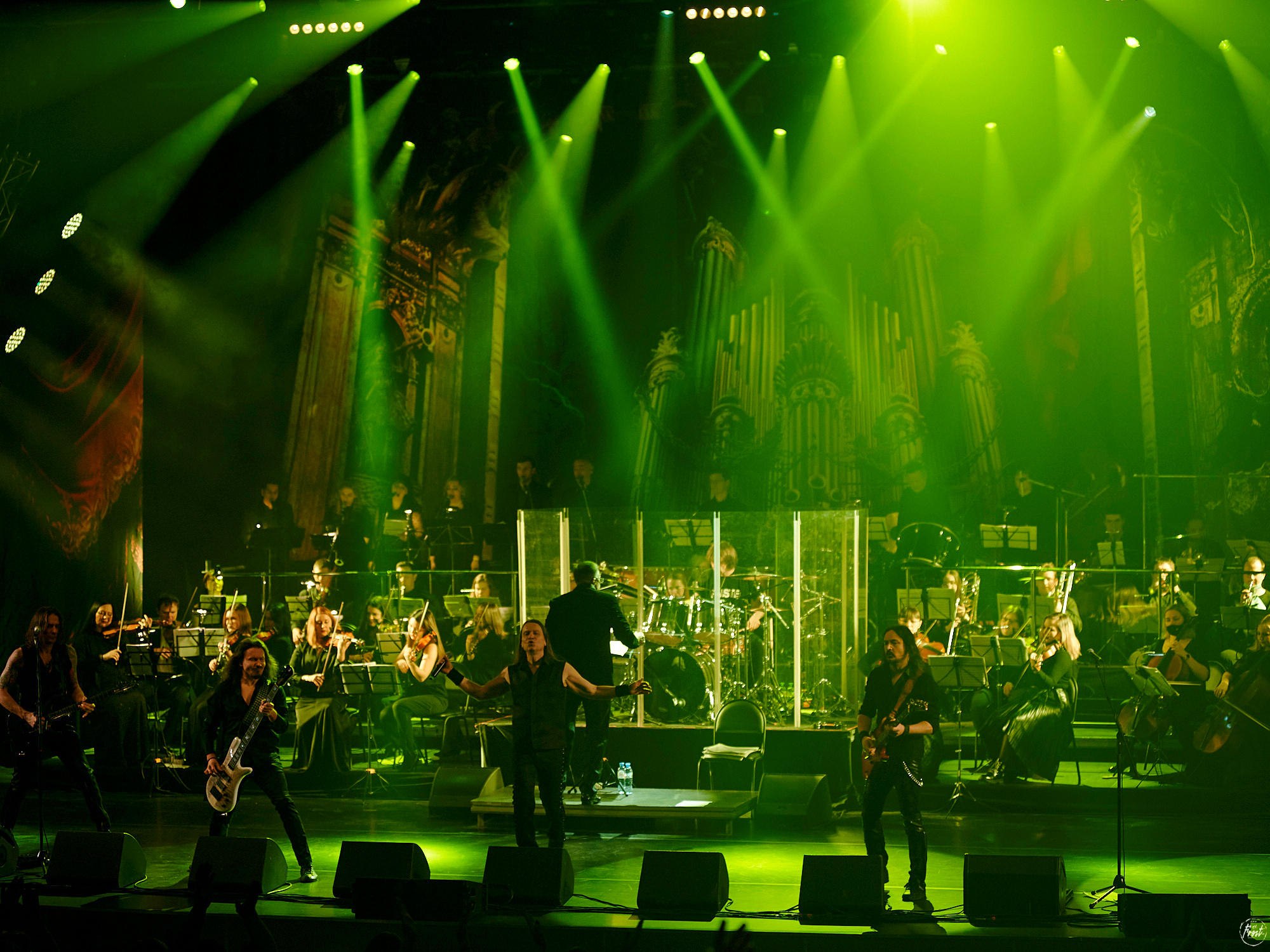 КИПЕЛОВ. Фотографии отовсюду и обо всем