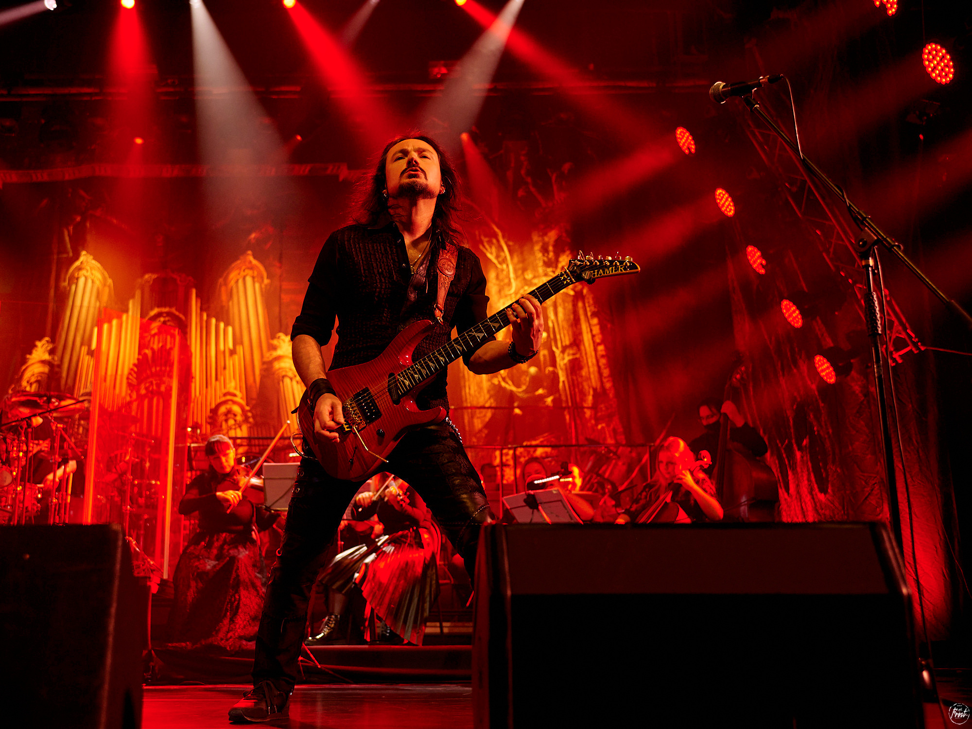 КИПЕЛОВ. Фотографии отовсюду и обо всем