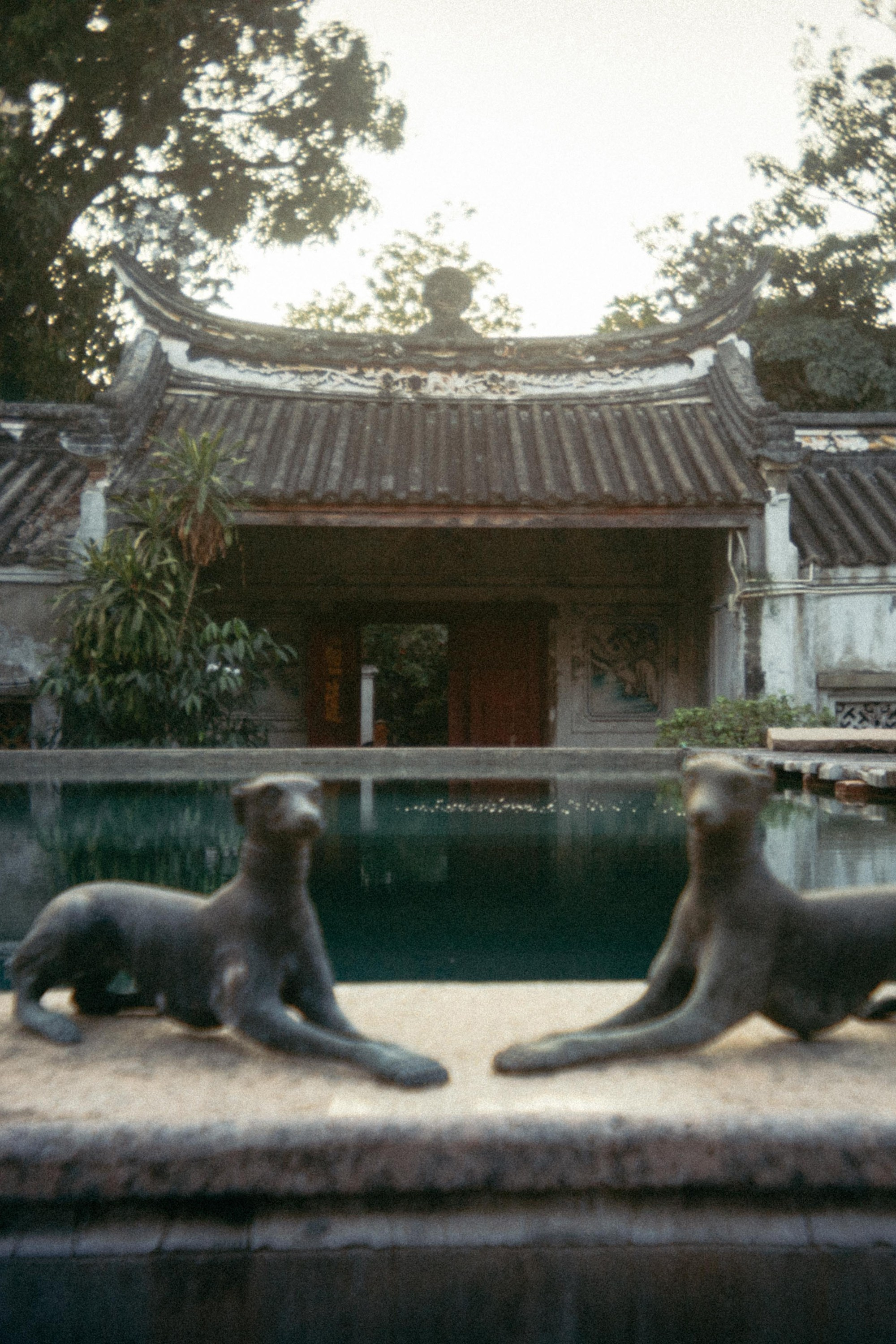 Шри + Бангкок. Фотограф Тбилиси Саша Мороз