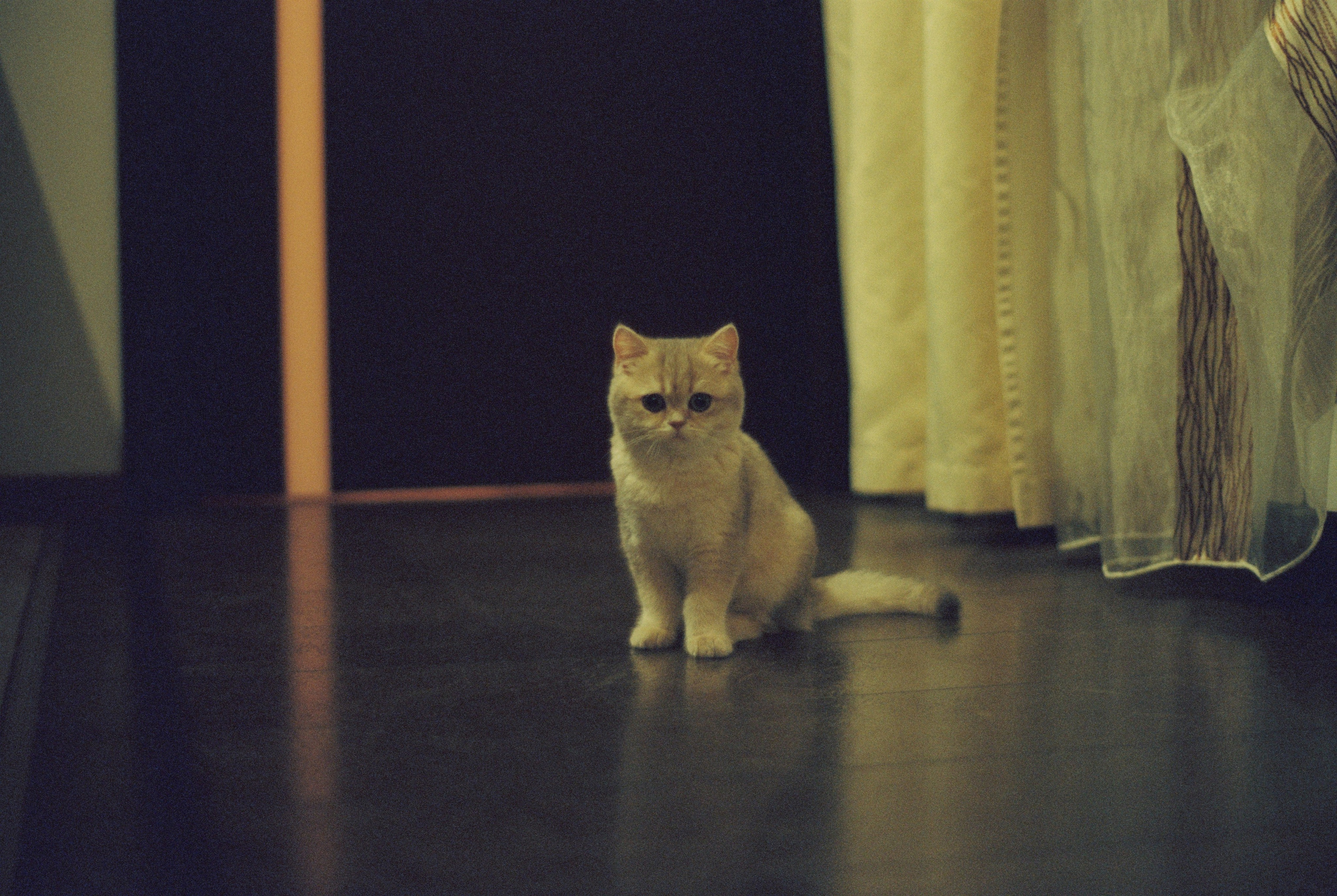 Плёночная весна 2025. Илья Михачёв Фотограф ПРО людей