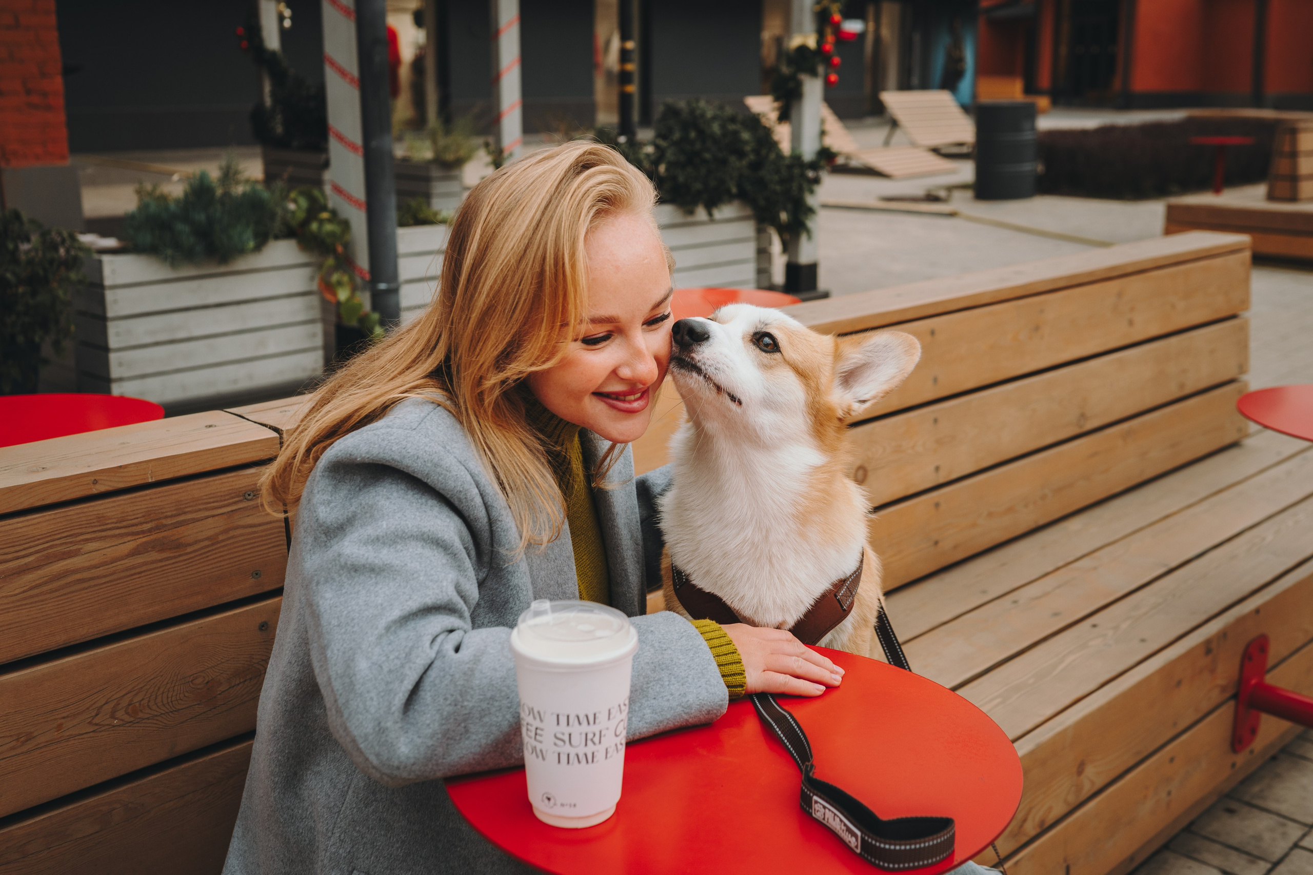 Pawsitive. Семейный фотограф анималист Ананьева Мария — Москва