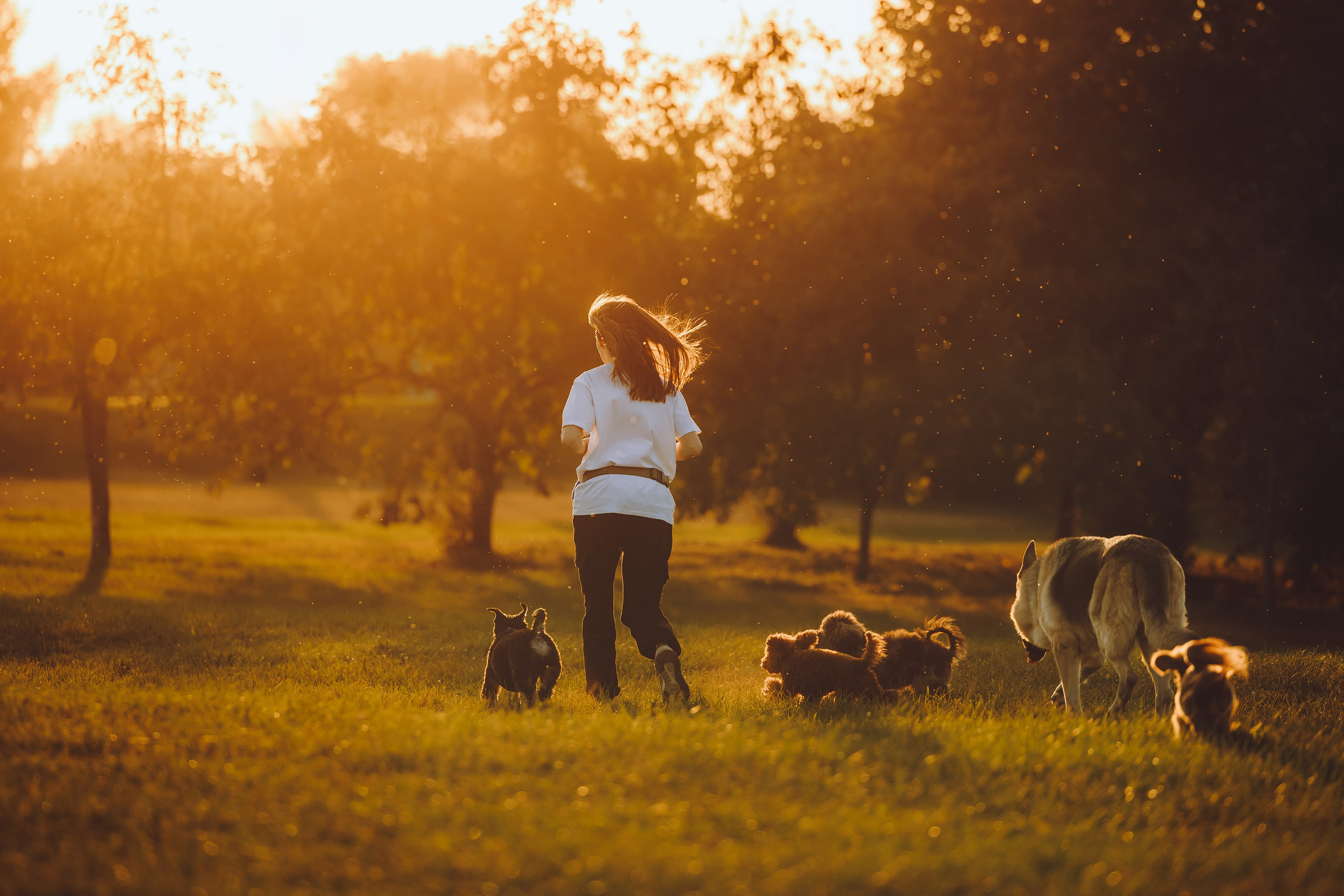 Кристина и все-все