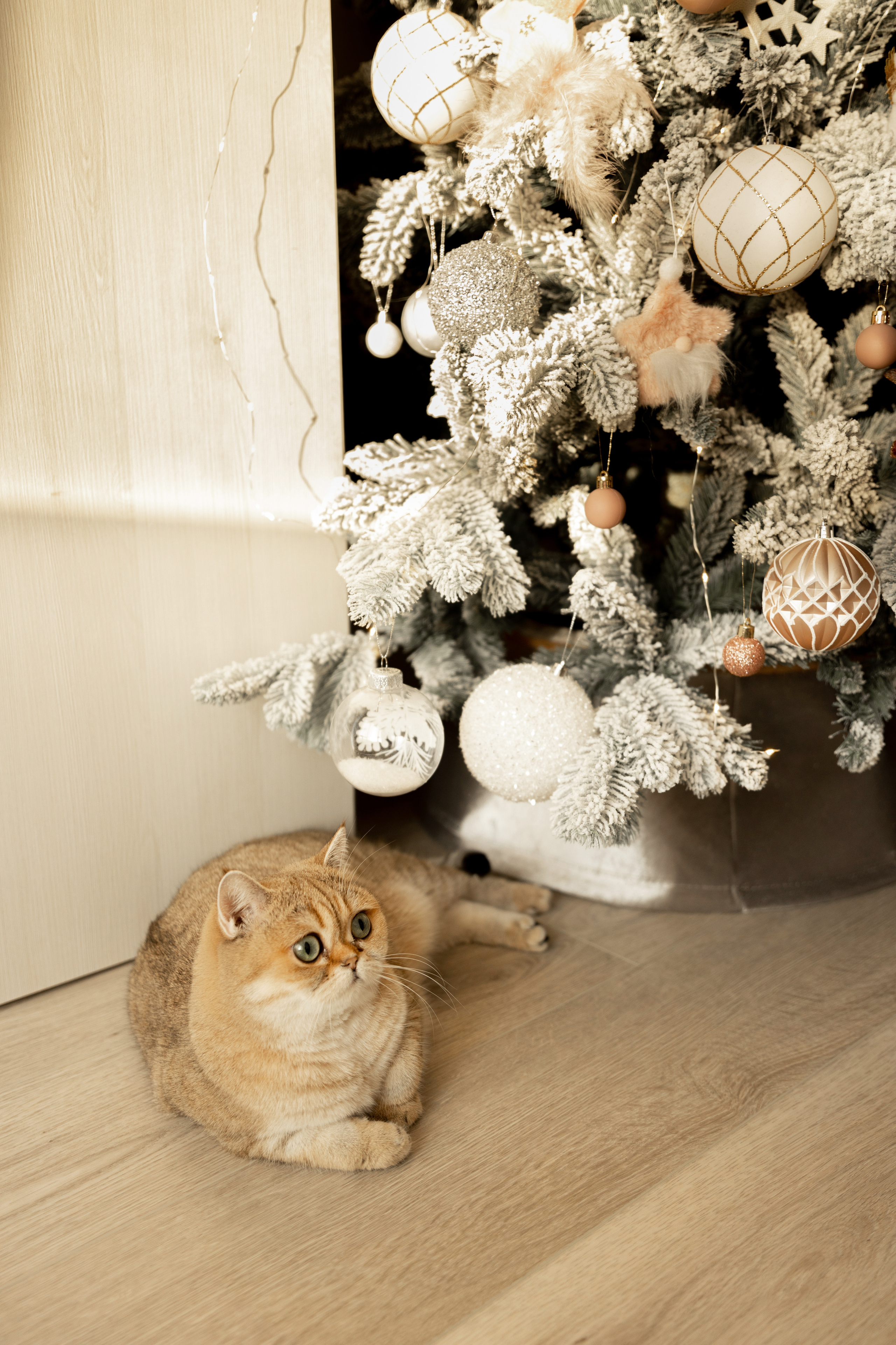 Мария и Михаил. Главная