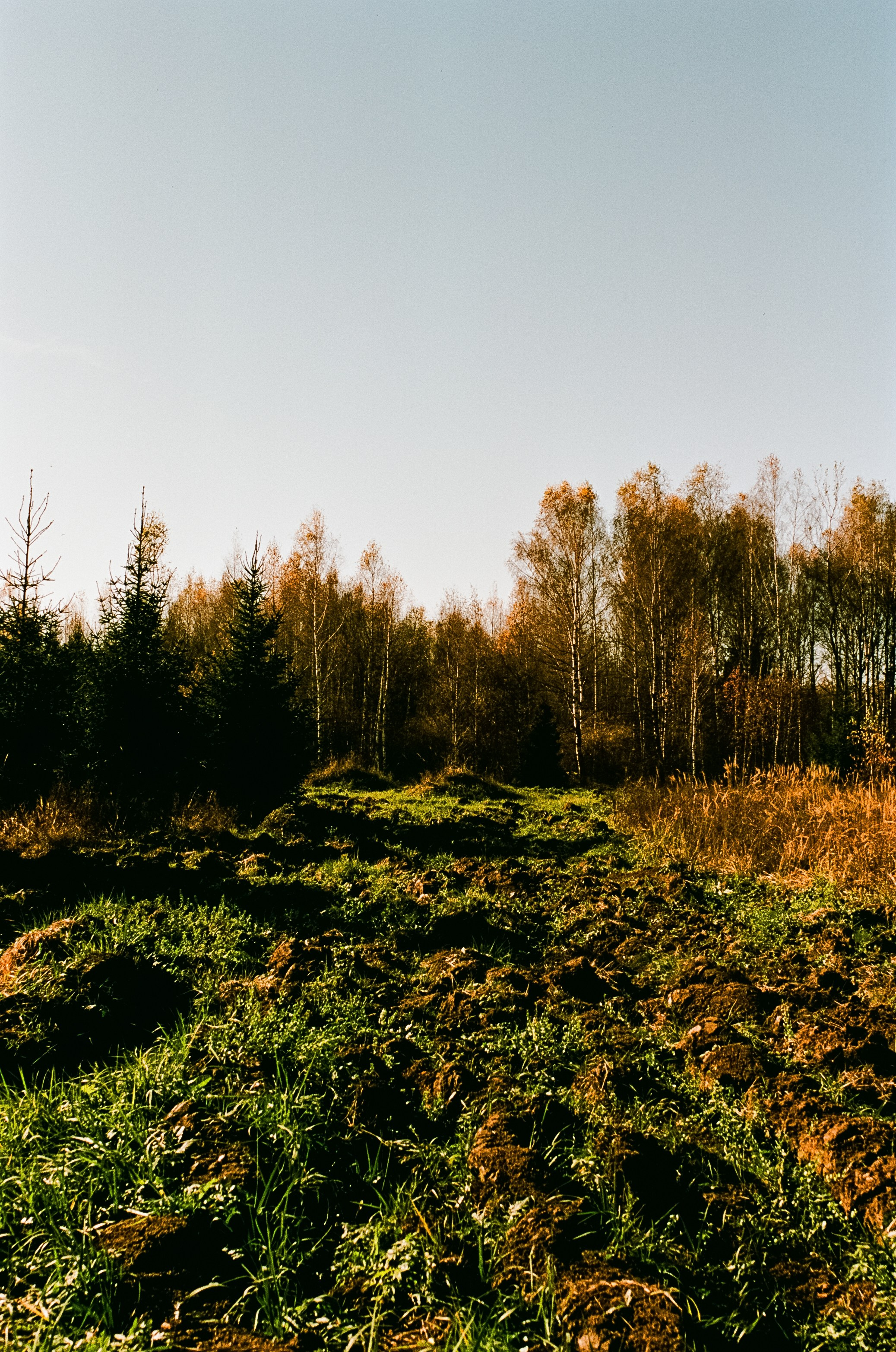 Nikon F100 — Mamiya (645) Sekor C 45 mm f2.8 и Macro 80 mm f/4