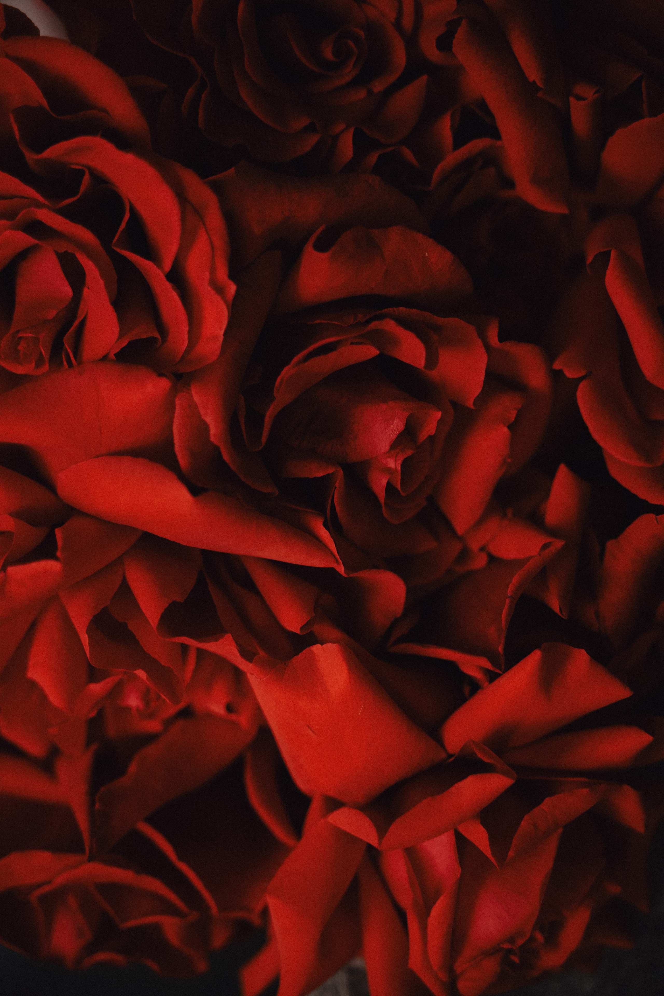 Любовь — это мы. Свадебный и портретный фотограф в Брянске и Москве Алина Химушкина