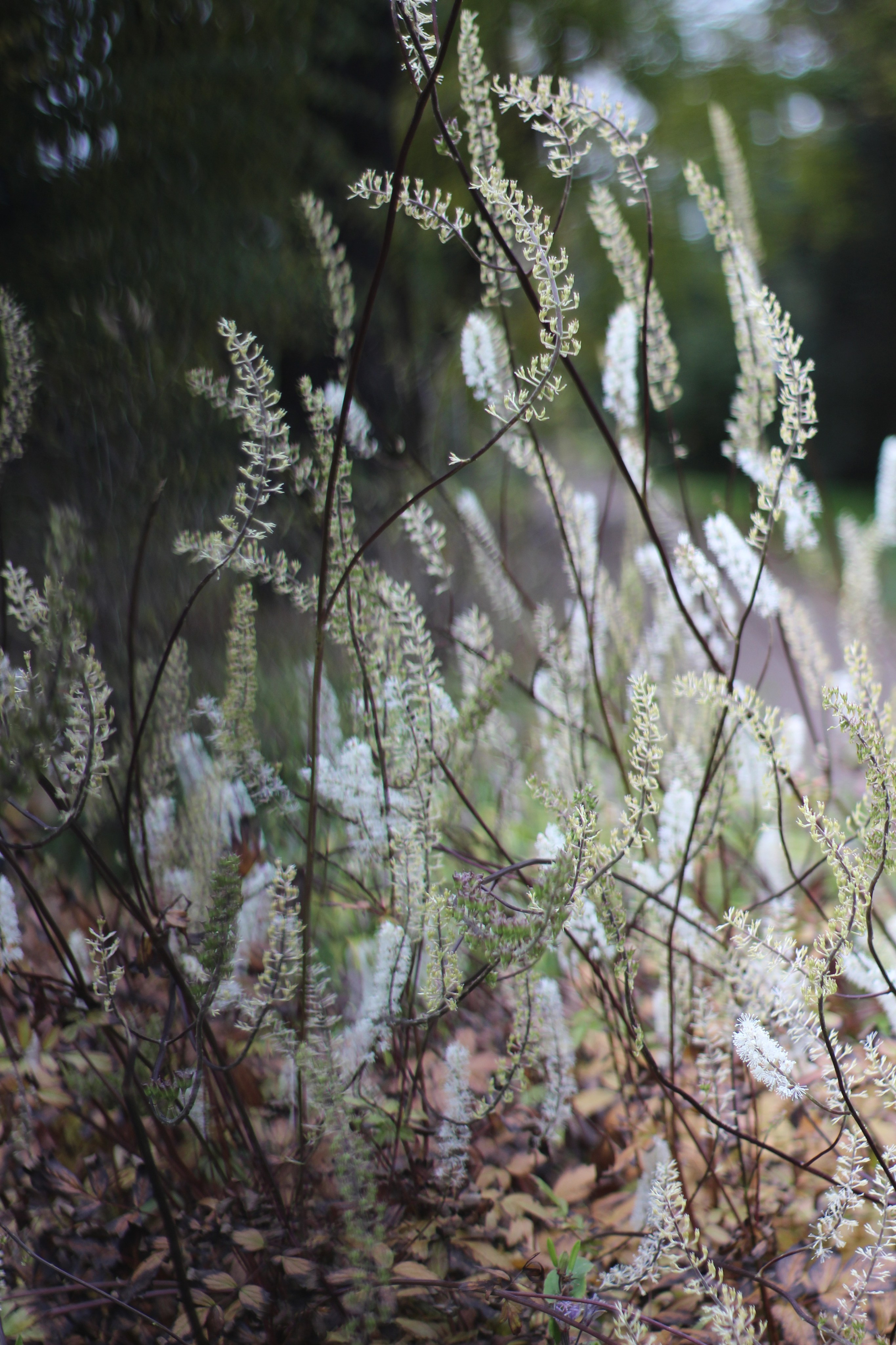 Пазлы. Фотохудожник Татьяна Бойцова