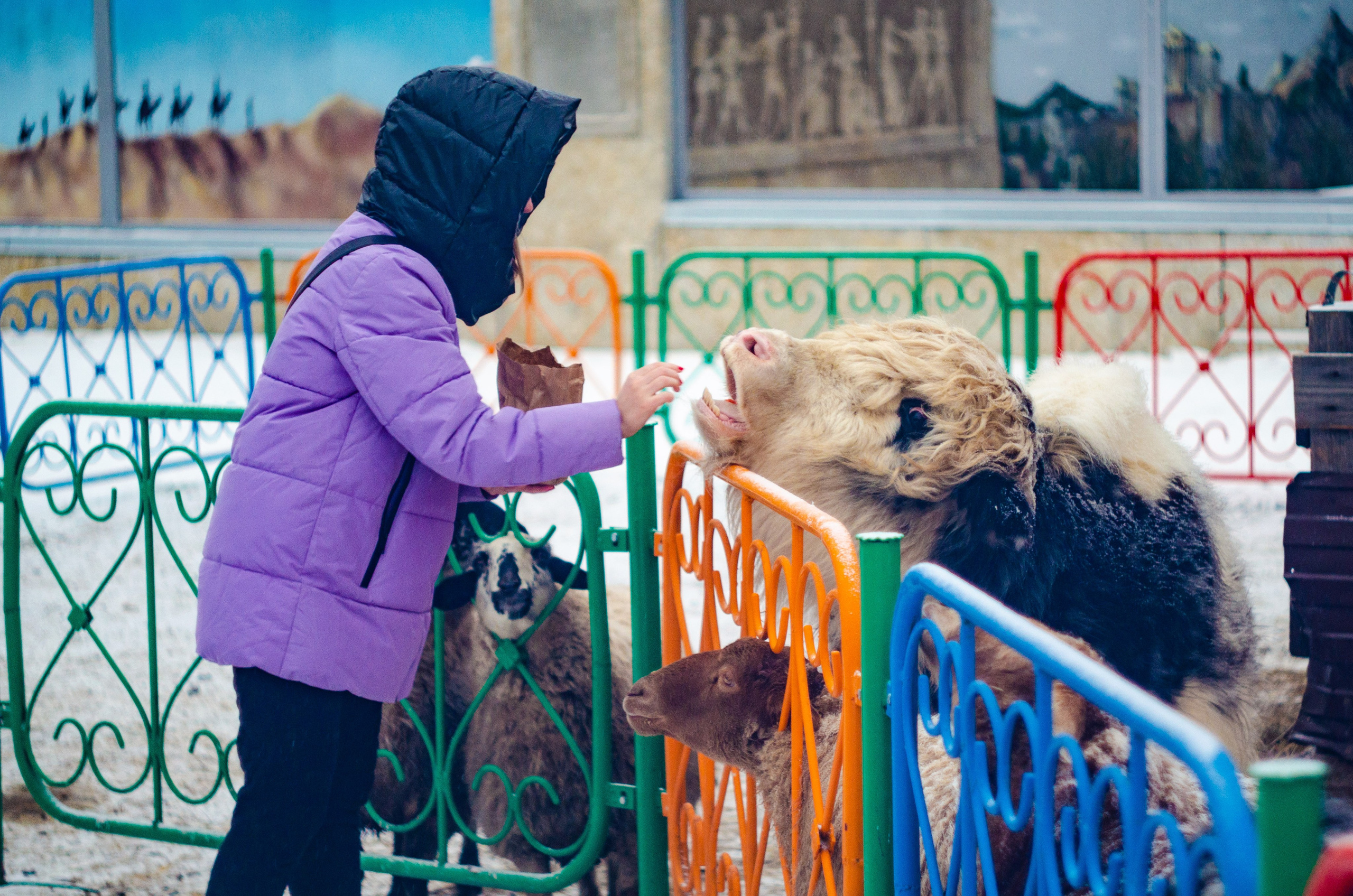 Вокруг нас. Фото — видео Тюмень