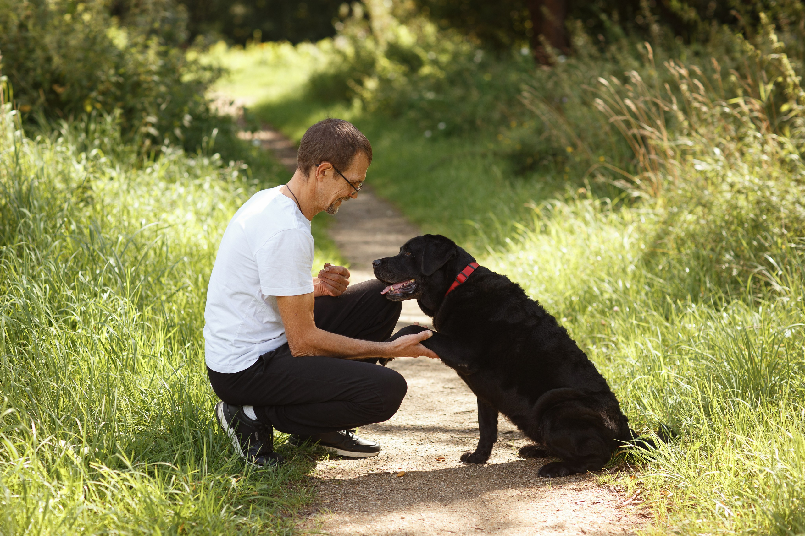 Александр и Мона. Фотограф — Анималист Наталья Тямушева