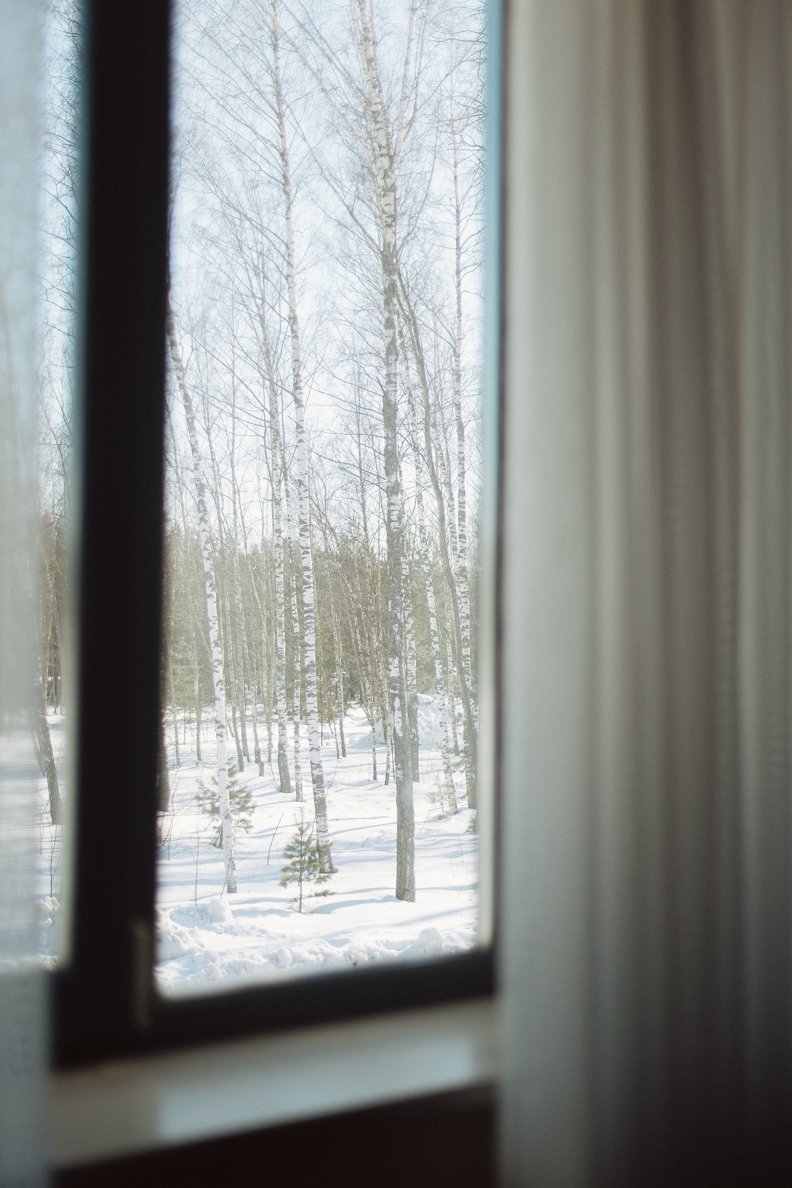 Экопарк ПОЛЯНЫ. Главная