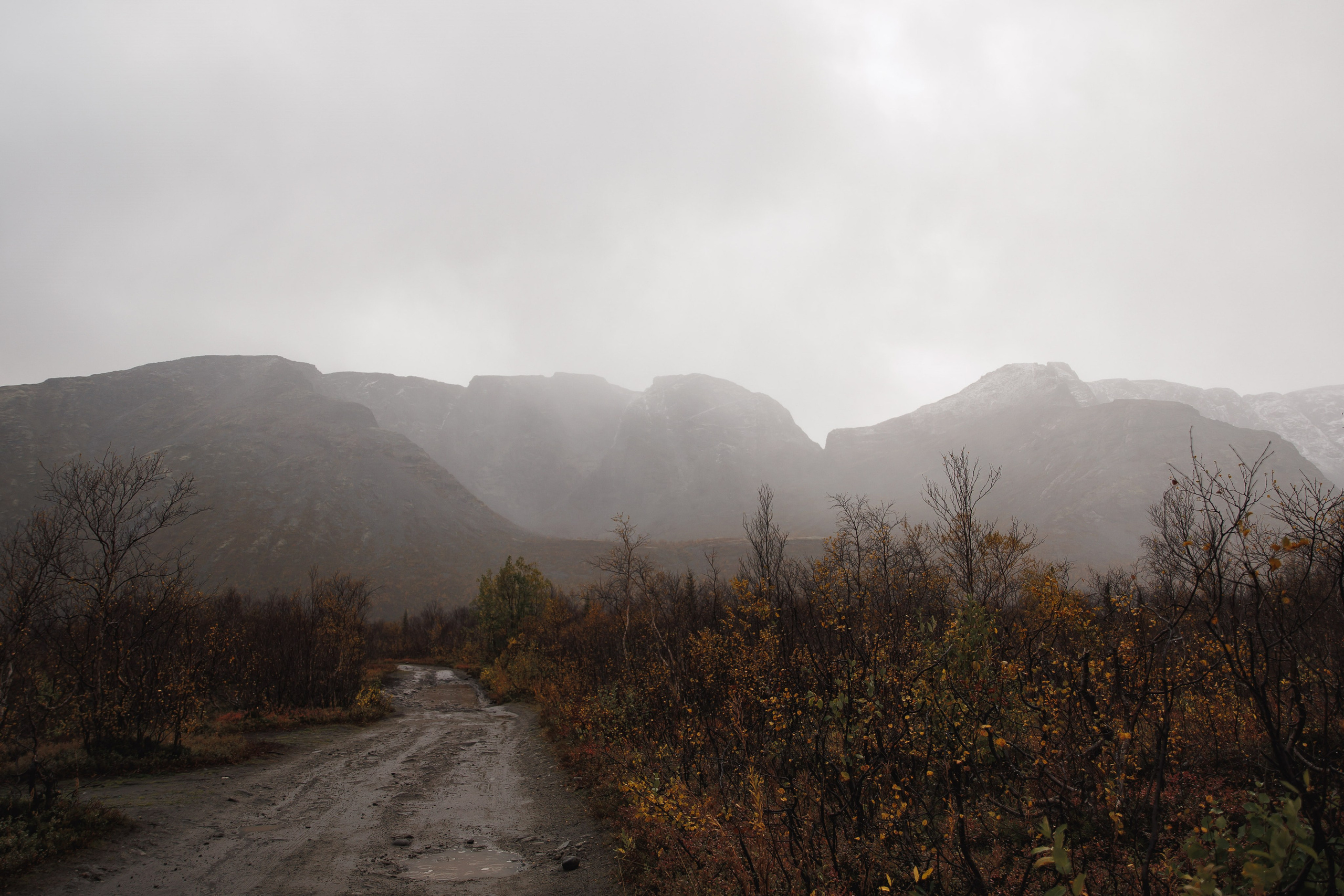 На севере — любить!. Wedding photographer in St. Petersburg, Europe and Israel Anna Agafon