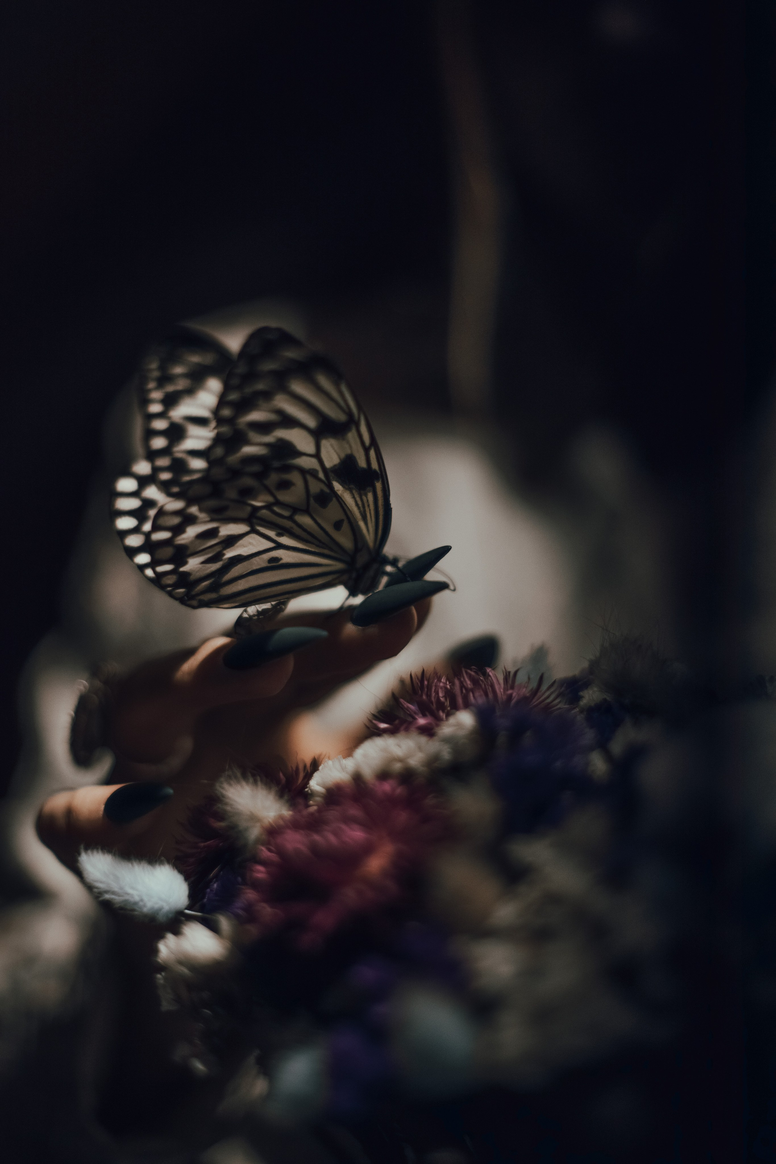 Butterfly. Фотохудожник из города Пскова