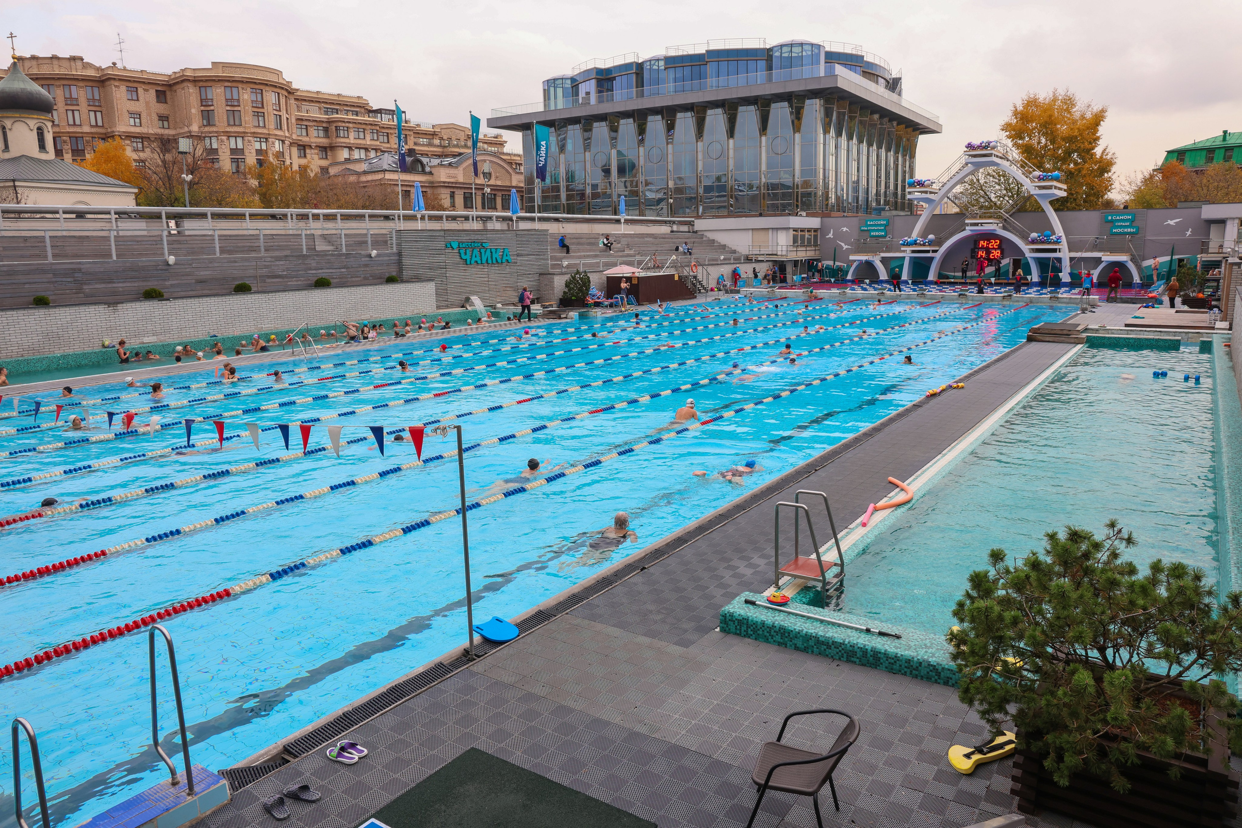 Анонс чайка. Фотограф и видеограф — Москва