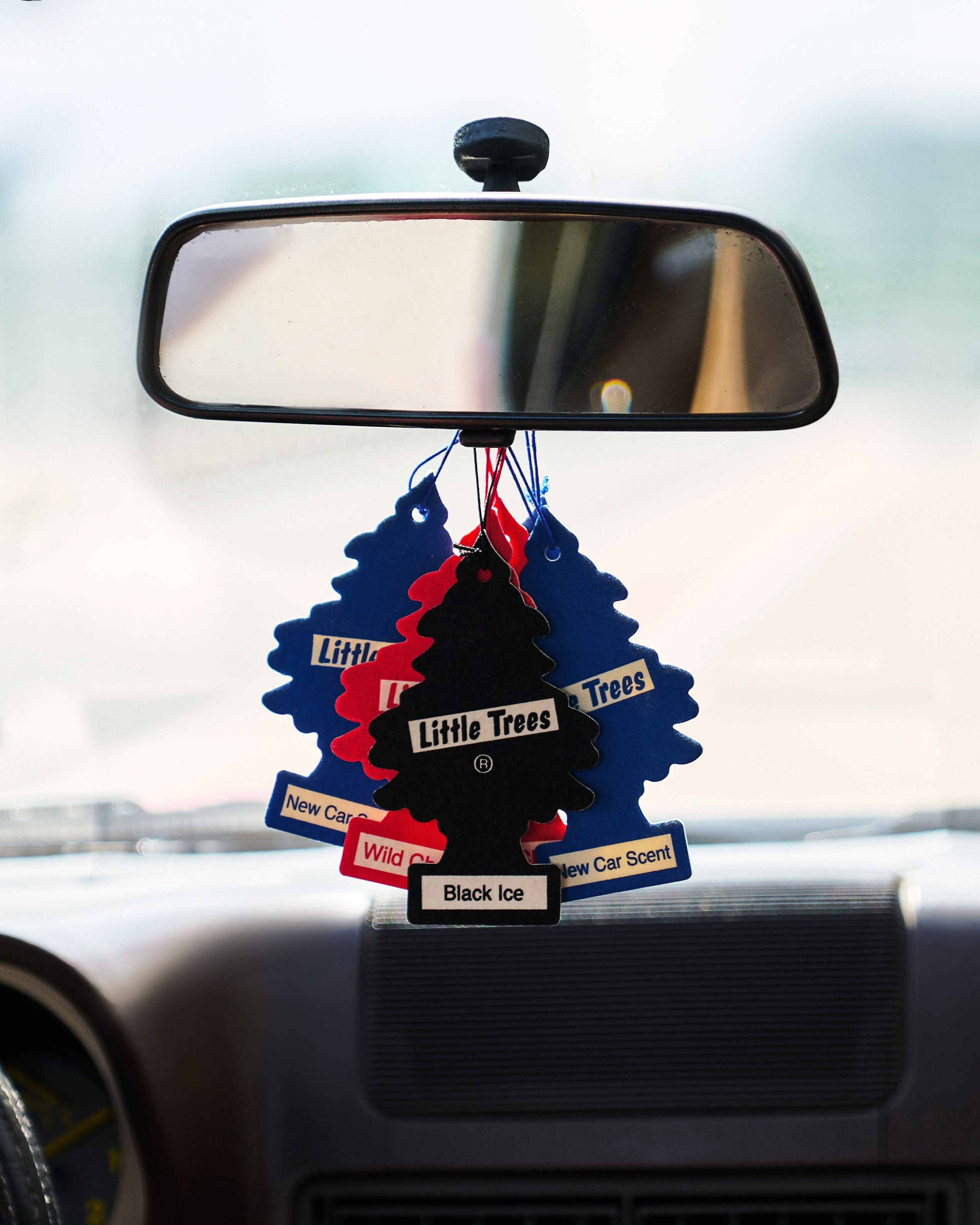 495 DENIM CAMPAIGN. Главная