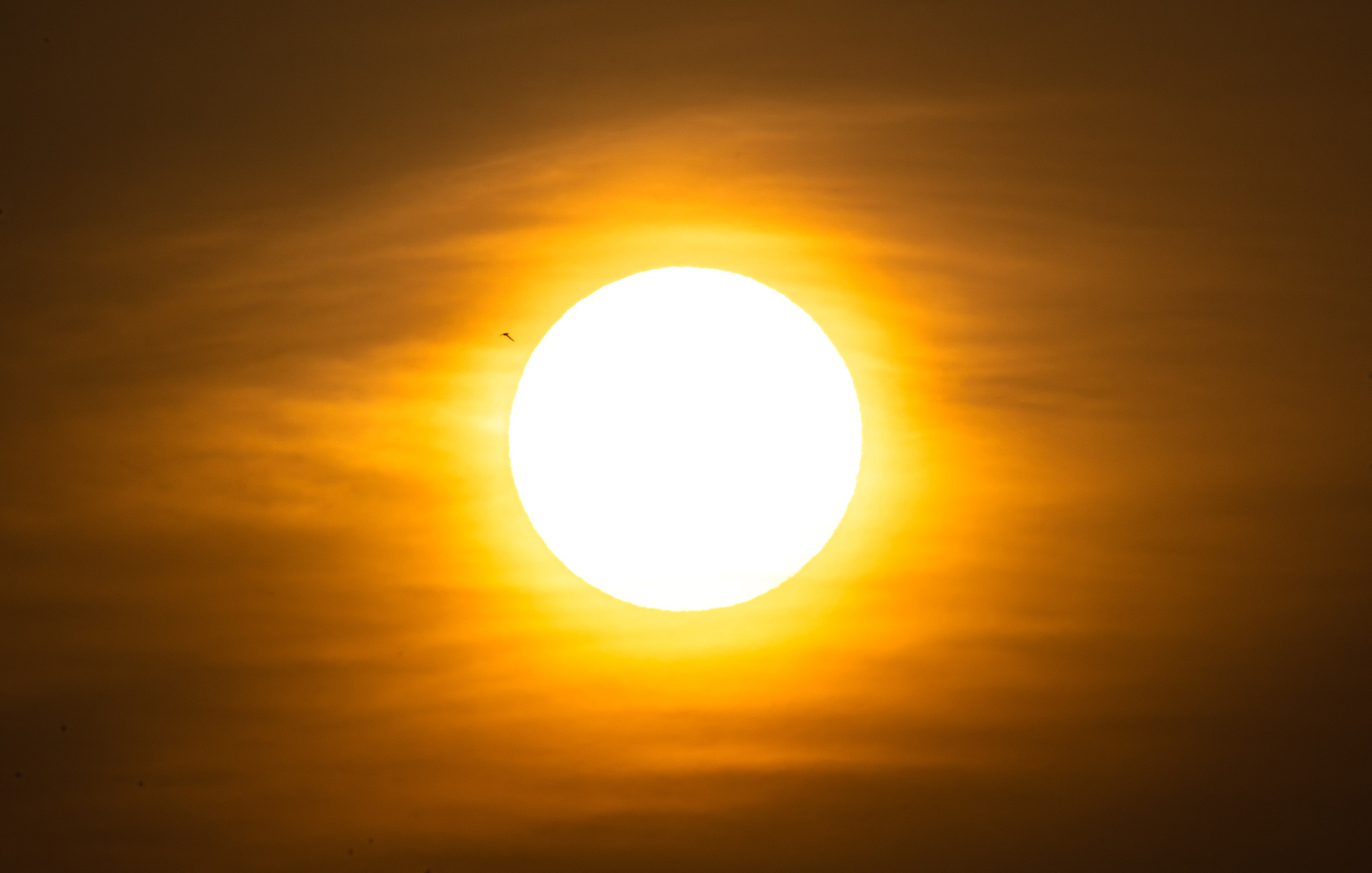 Окружение через объектив