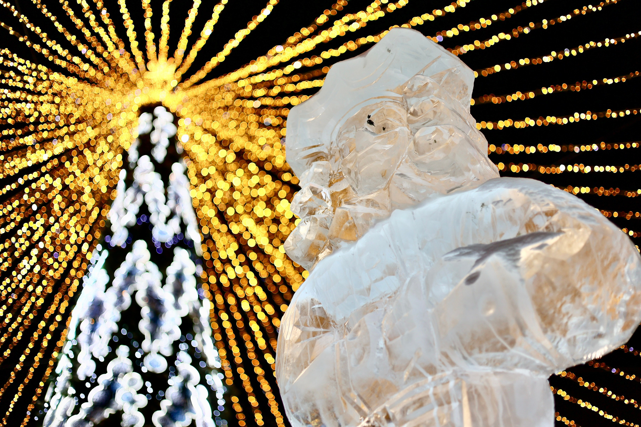 СТРИТ И ПРИРОДА. Репортажный фотограф Наталья Лапцевич