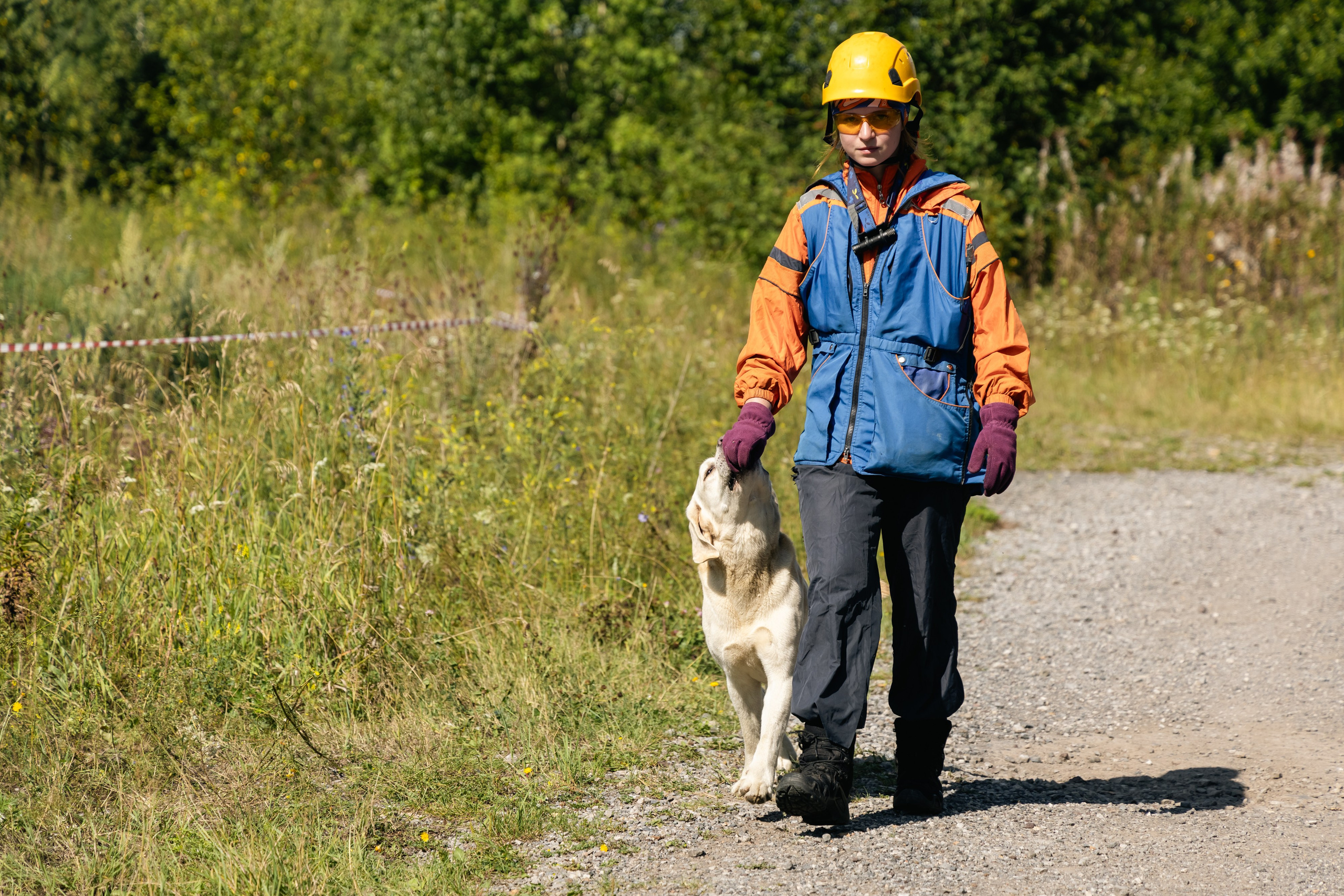 VI ОТКРЫТЫЕ КИНОЛОГИЧЕСКИЕ СОРЕВНОВАНИЯ. ЧЕЛЯБИНСКАЯ ОБЛАСТЬ 2025. Репортажный фотограф Наталья Лапцевич